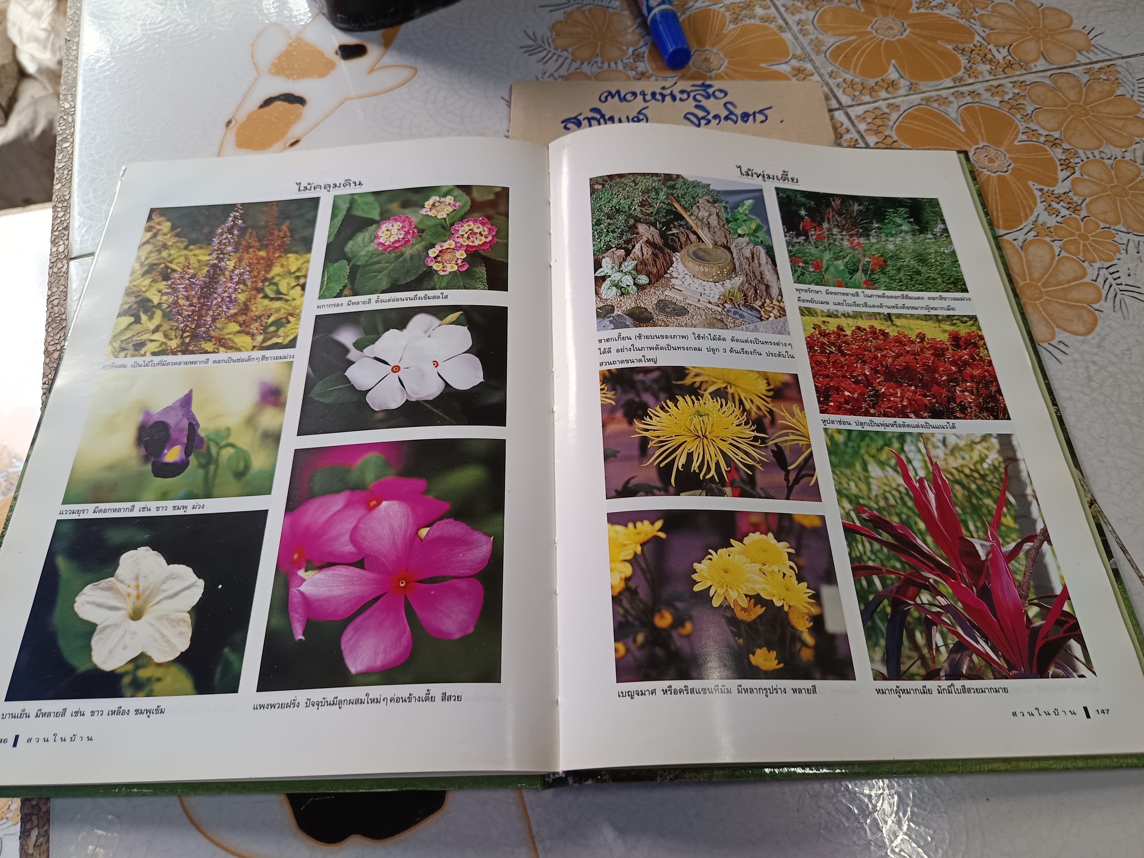 สวนในบ้าน เล่ม 6 - สวนสวยกับการดูแล คู่มือการจัดและตกแต่ง สำนักพิมพ์บ้านและสวน พิมพ์ปีพ.ศ 2541