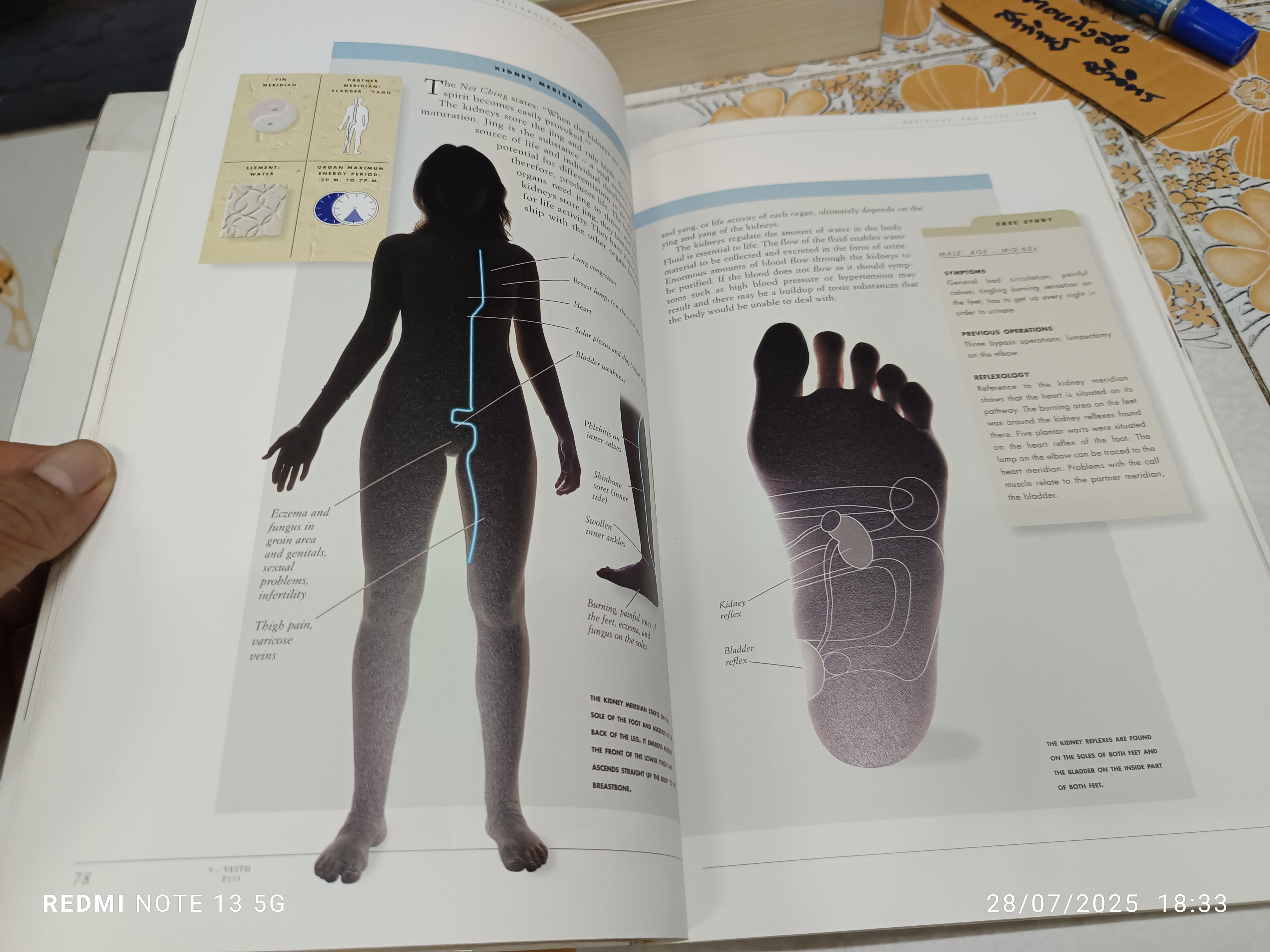 The Complete Illustrated Guide to Reflexology เขียนโดย Inge Dougans
