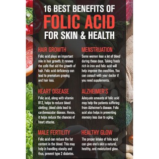 Century® Folic Acid 400 mcg 250 Tablets, 800 mcg 180 Tablets กรดโฟลิก