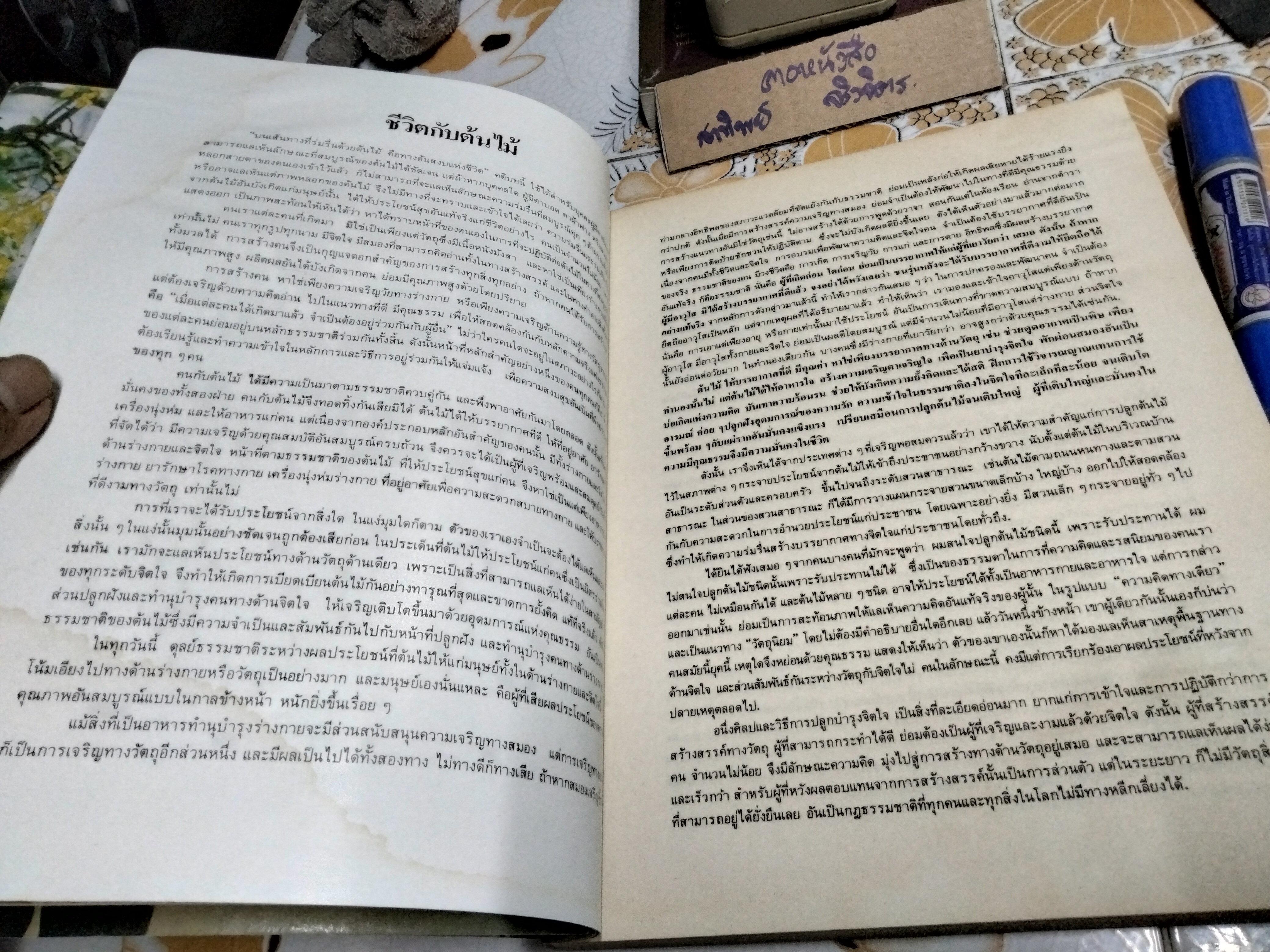 เพียงข้าวเมล็ดเดียว โดย ศาสตราจารย์ ระพี สาคริก พิมพ์ พ.ศ.2525 **สินค้าหมด**