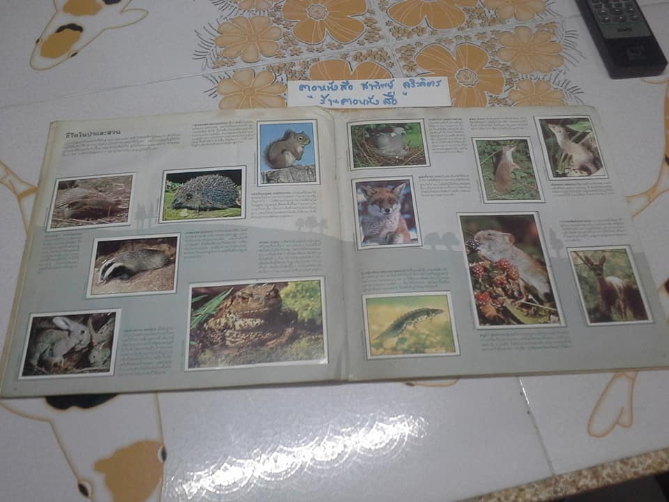 สมุดสะสมสติกเกอร์ ชีวิตสัตว์โลก - แปะครบ (ตัวเล่มมีคราบน้ำ มุมบนมีรอยยับ) **สินค้าหมด**