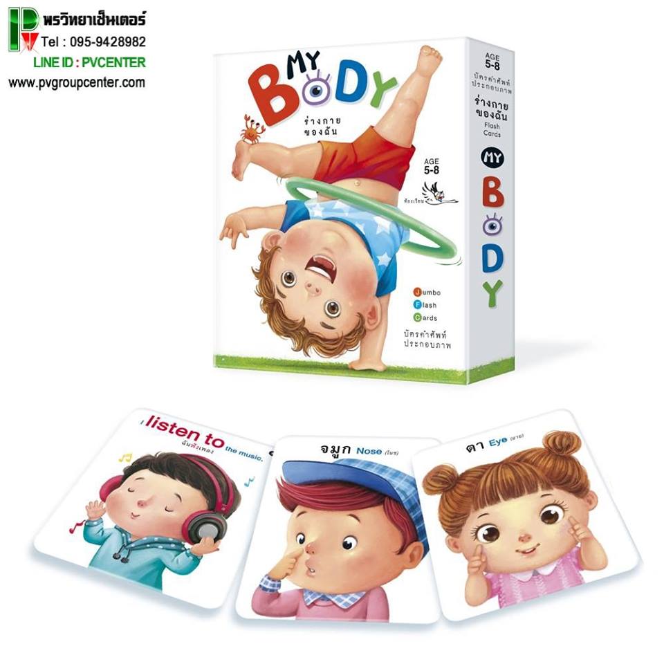บัตรคำศัพท์ประกอบภาพ My Body ร่างกายของฉัน