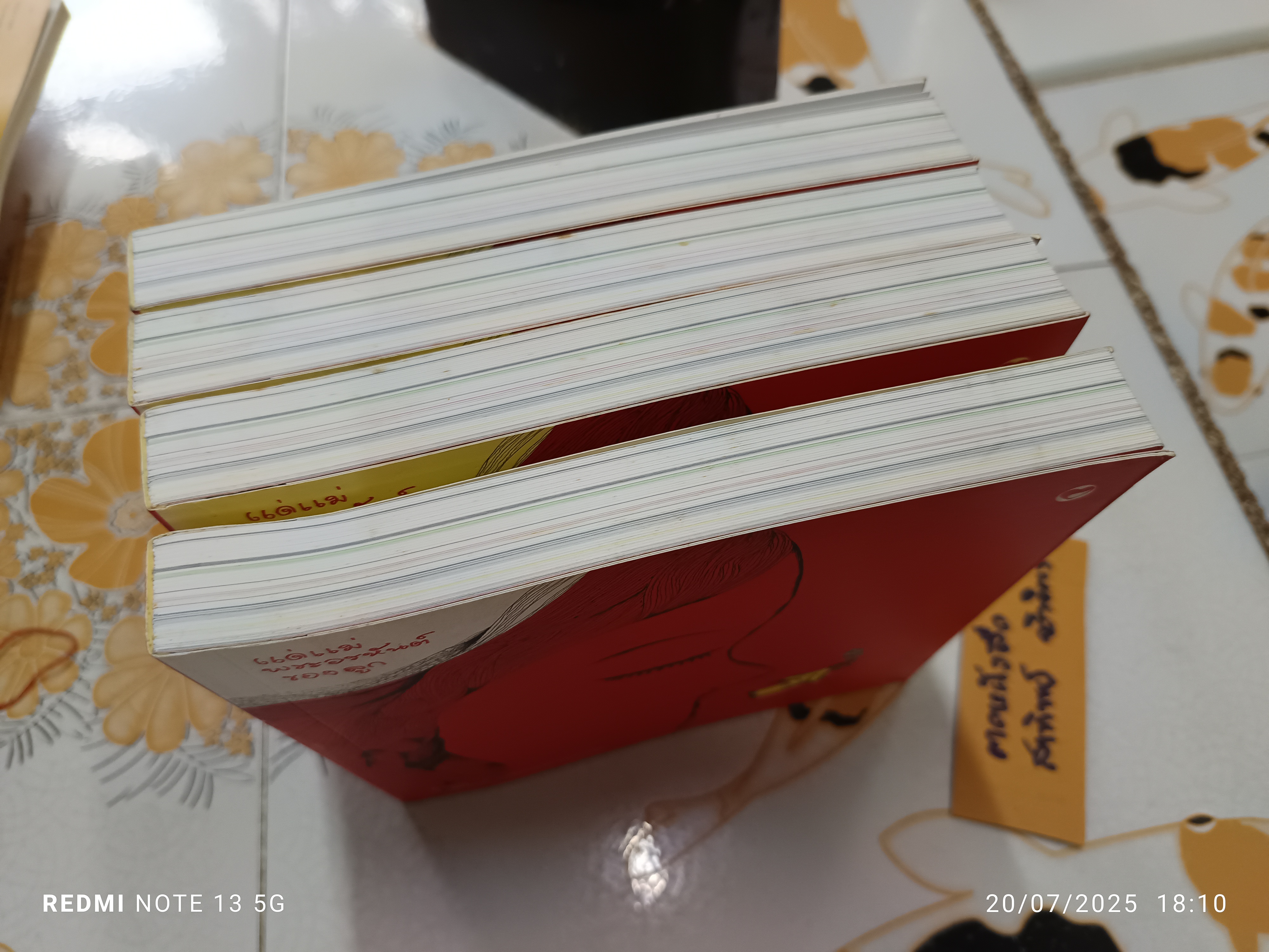 Red lotus แด่แม่..พระอรหันต์ของลูก โดย จีวัน วิสาสะ (ดินป่า จีวัน) ภาพเขียนและถ้อยคำ