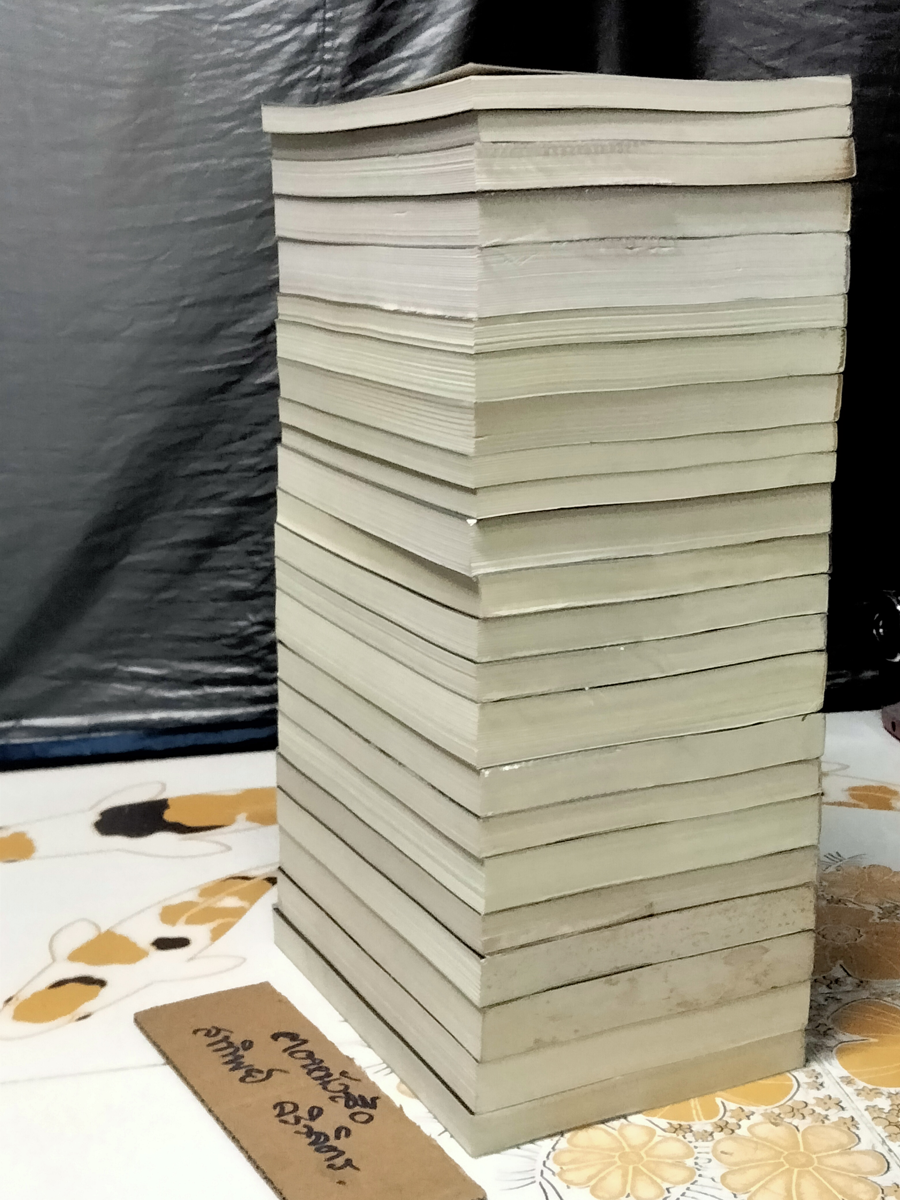 ขายยกชุด - คินดะอิจิยอดนักสืบ, นิยาย มี 23 เล่ม (มีตั้งแต่เล่ม 1-23 รวม เล่ม 17/1 และ 17/2 แล้ว) (ขาดเล่ม 5)