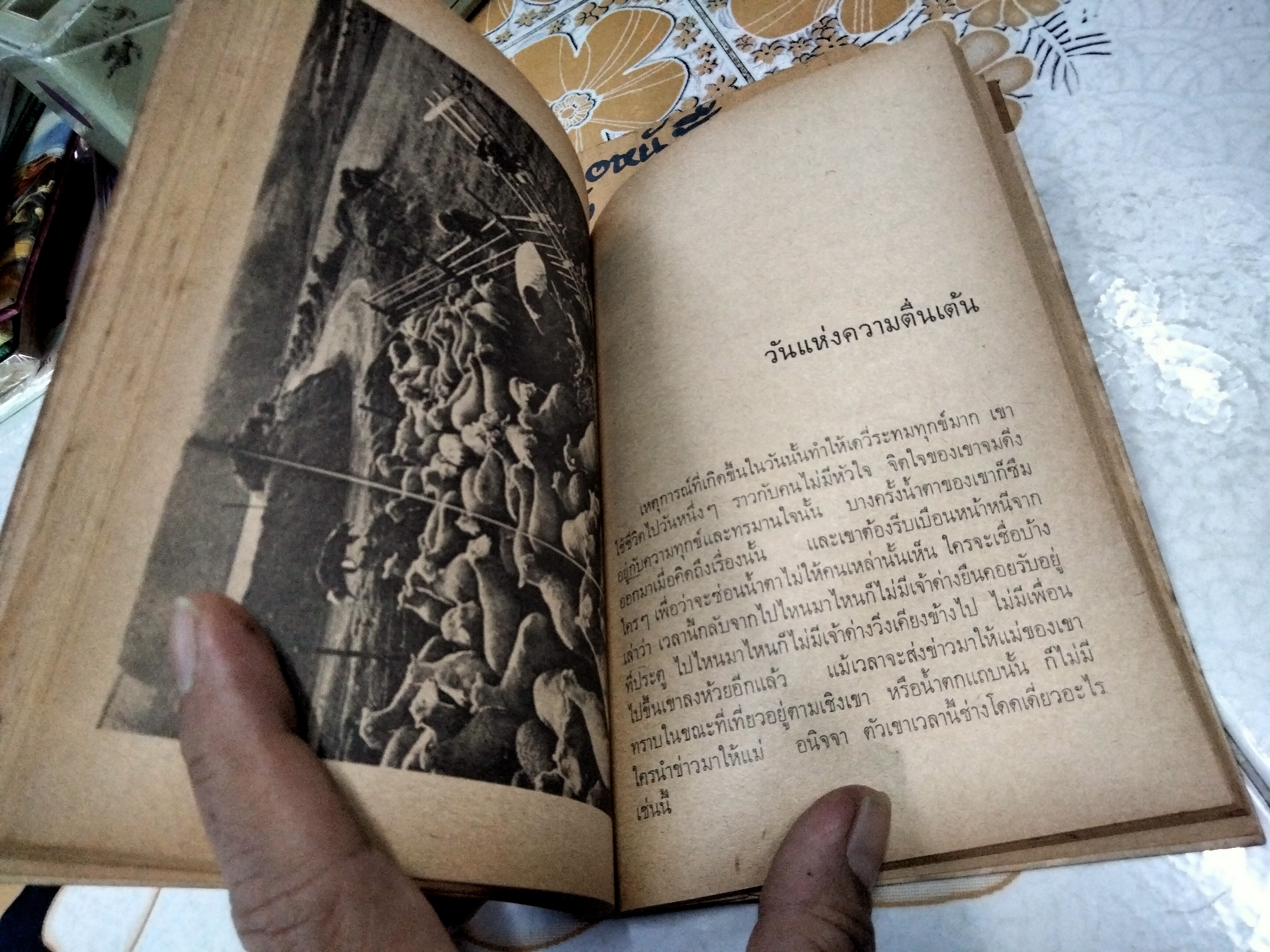 เจ้าด่าง - หนังสืออ่านสำหรับเยาวชนตามโครงการหนังสือเด็กของกองบรรณาธิการชัยพฤกษ์ ชุดที่ 6 อันดับ 1 พ.ศ 2520