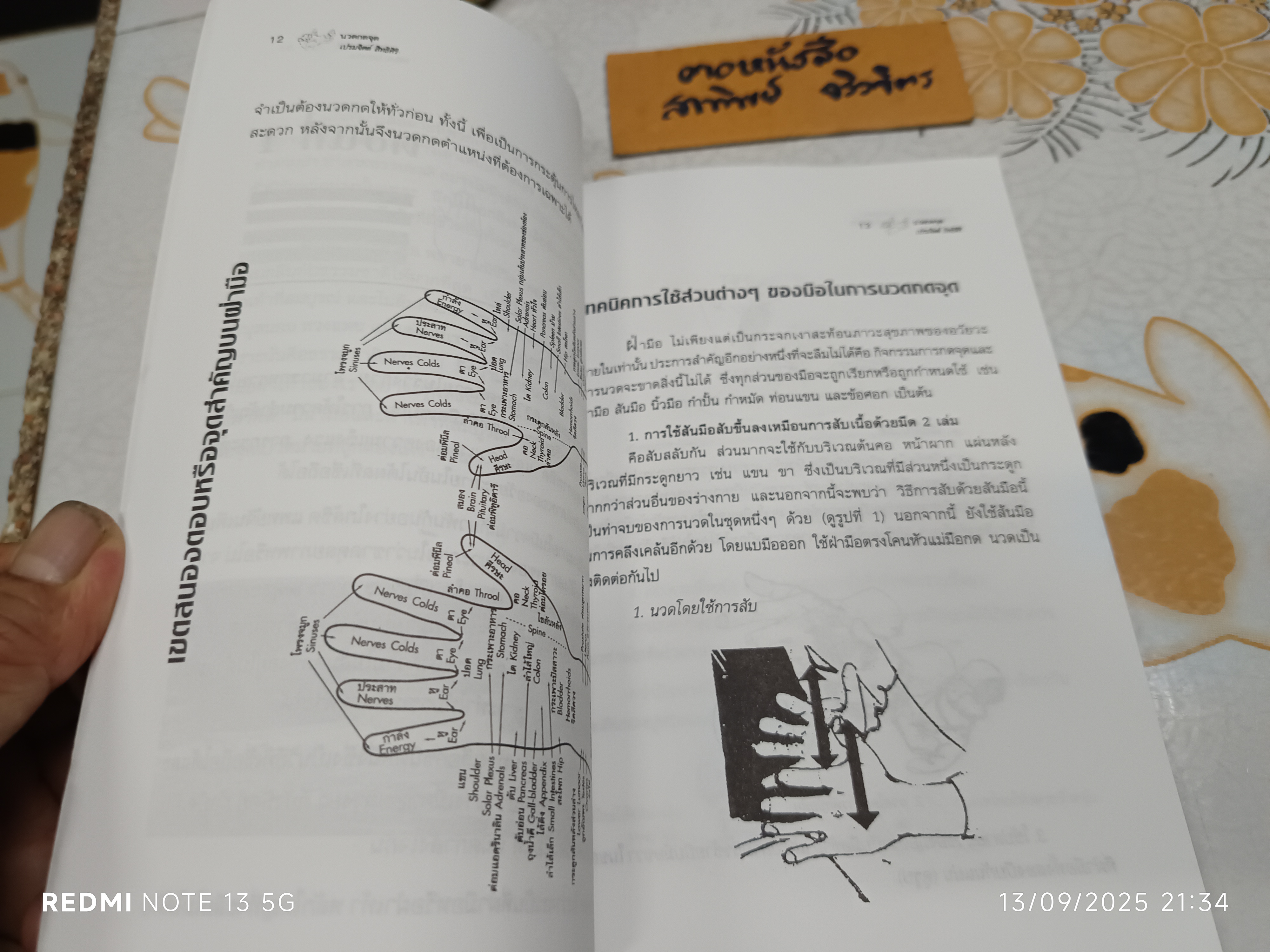คู่มือนวดกดจุด ฝ่ามือและฝ่าเท้า เพื่อสุขภาพขั้นมูลฐาน เขียนโดย เปรมจิตต์ สิทธิศิริ