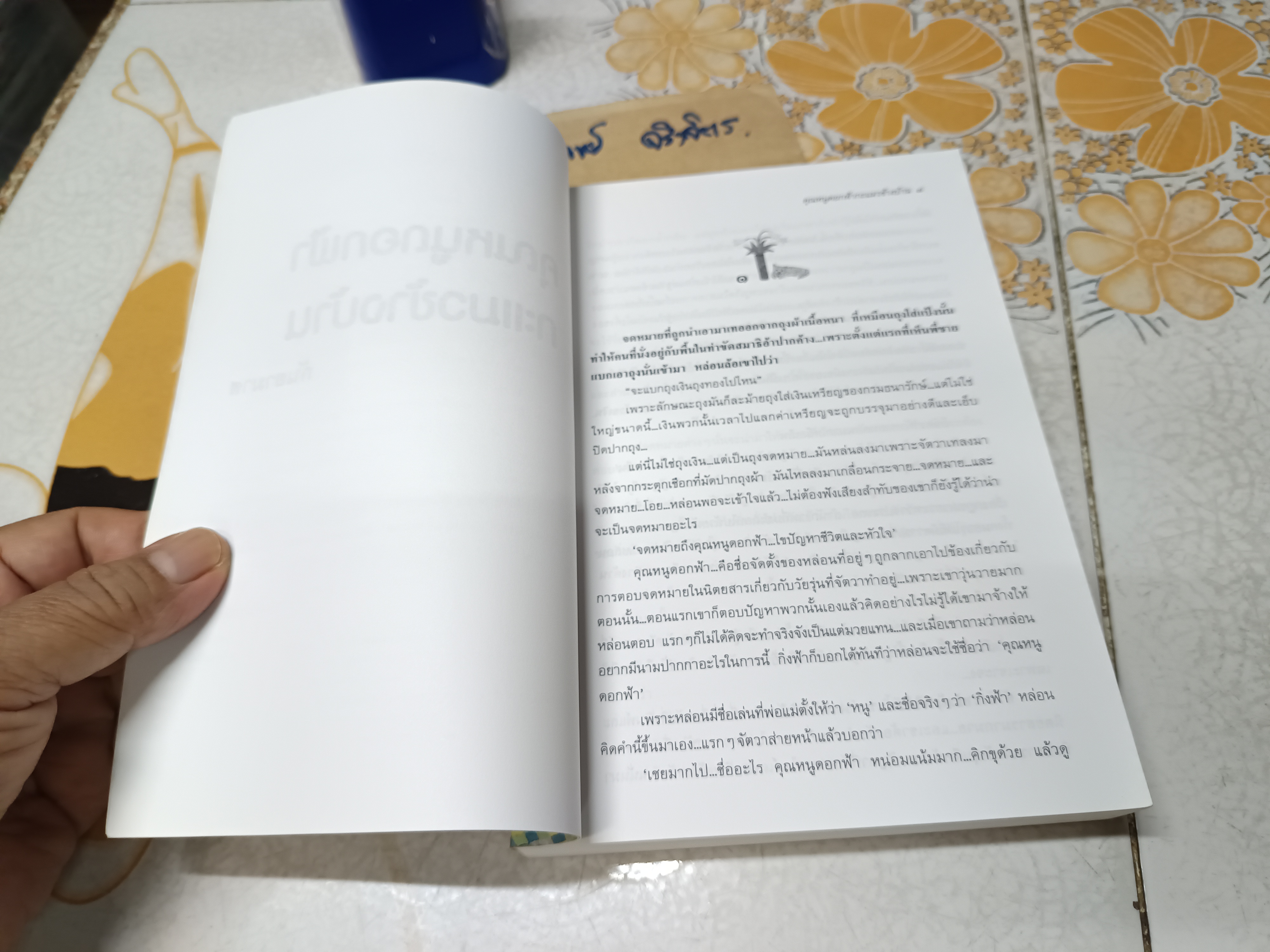 คุณหนูดอกฟ้ากะแมวข้างบ้าน (เล่มเดียวจบ) - กัญญามาศ พิมพ์ครั้งแรกพ.ศ 2547 สำนักพิมพ์เพื่อนดี