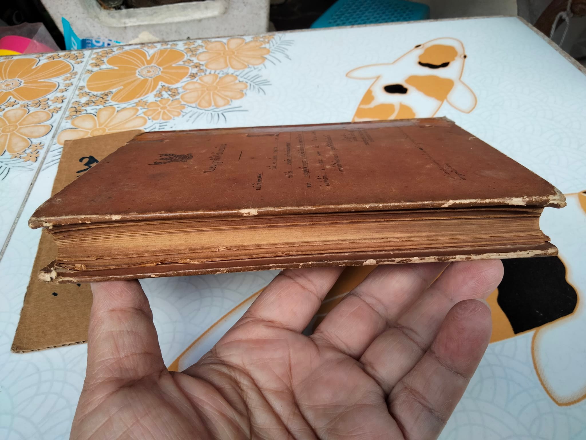 A School Geometry by HALL - STEVENS (ฉบับภาษาไทย) แปลโดย บุญพฤกษ์ จาฏามระ และ คณิต มีสมมนต์ **สินค้าหมด**