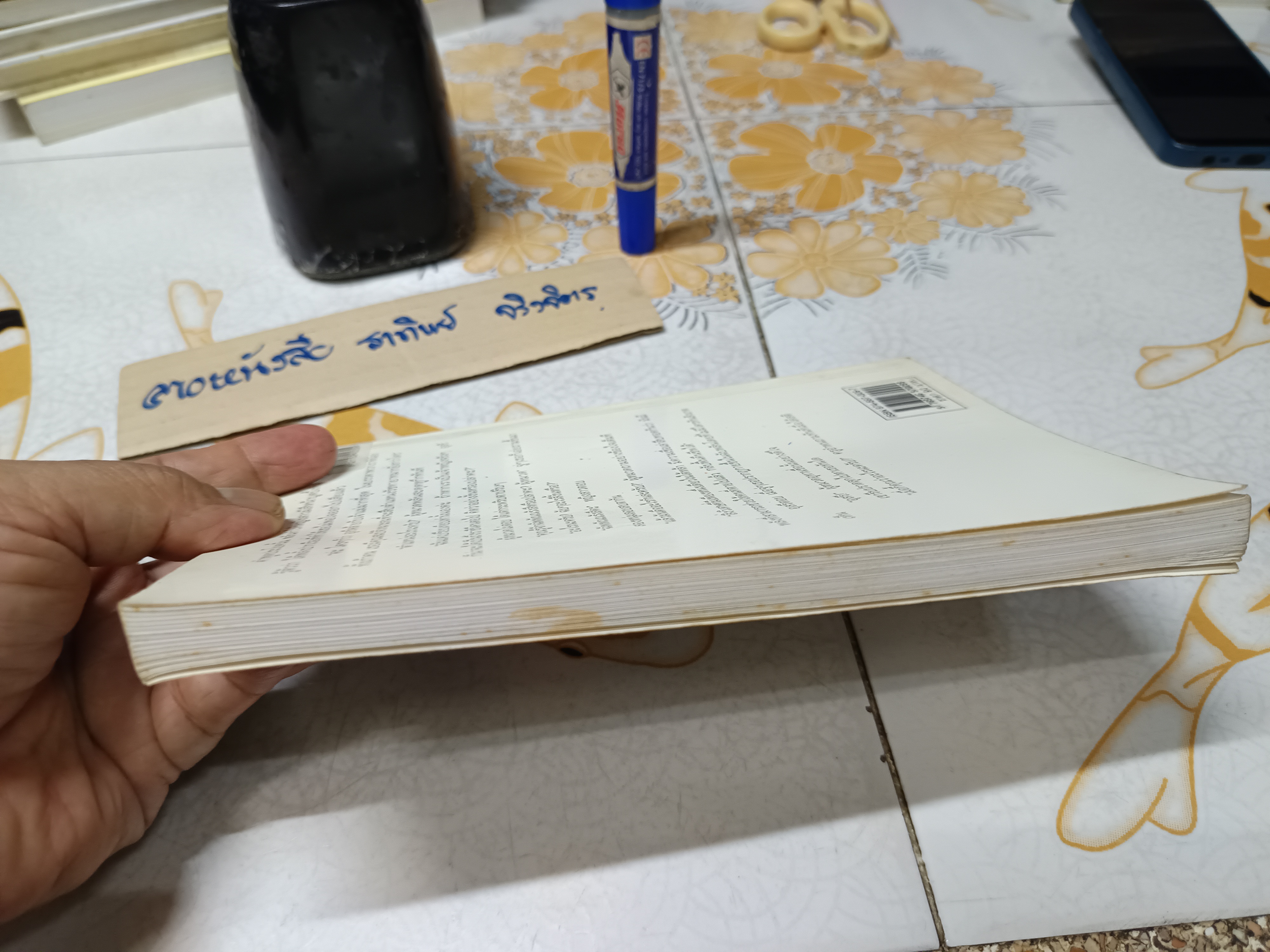 ฉัพพัณณรังสี โดย บัณรส ปุนนาค / นวนิยายรักแนวโรมานซ์ระหว่างนาคสาวกับมนุษย์ชายหนุ่ม