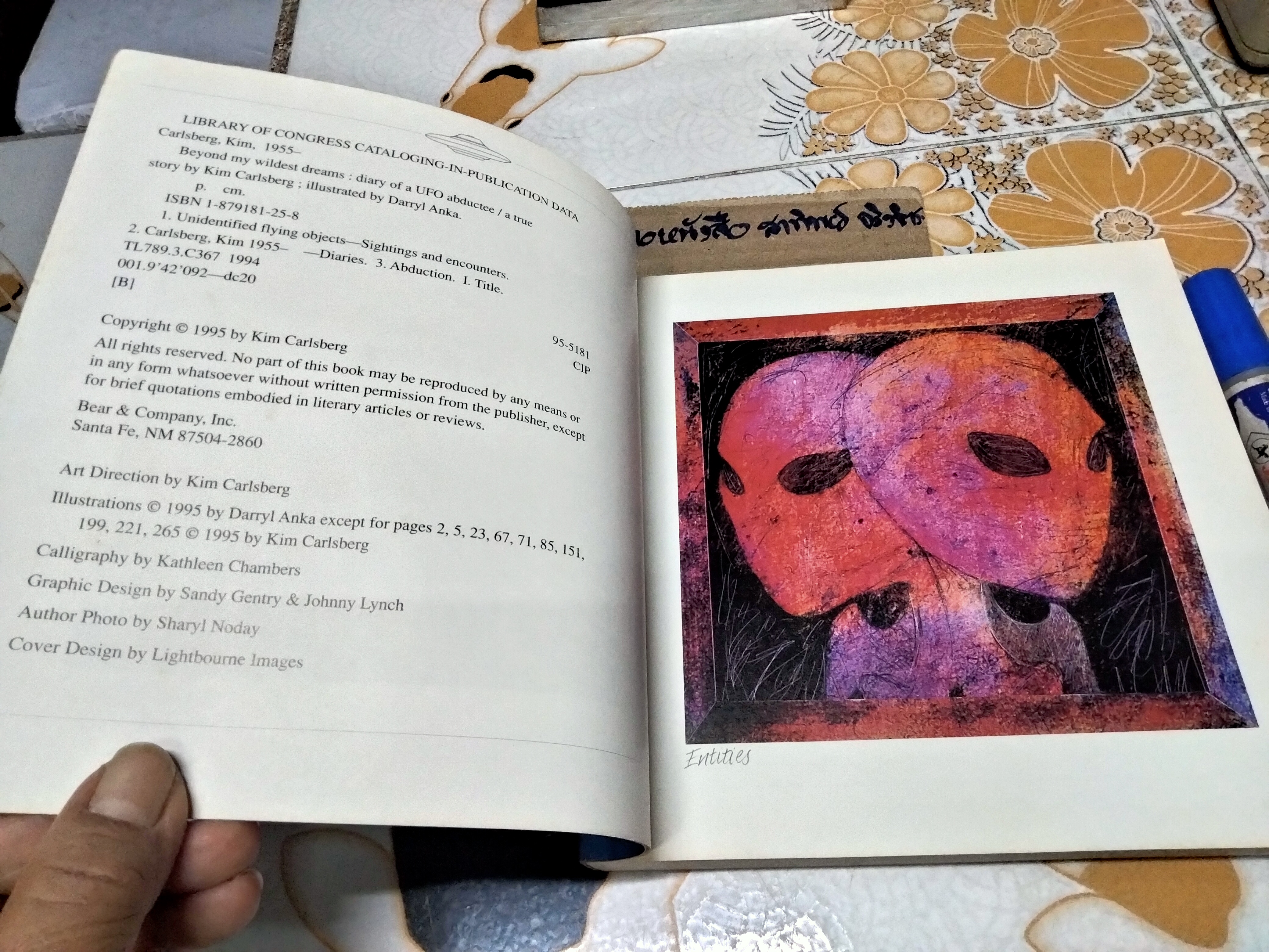 Beyond My Wildest Dreams : Diary of a UFO Abductee Kim Carlsberg , 1995