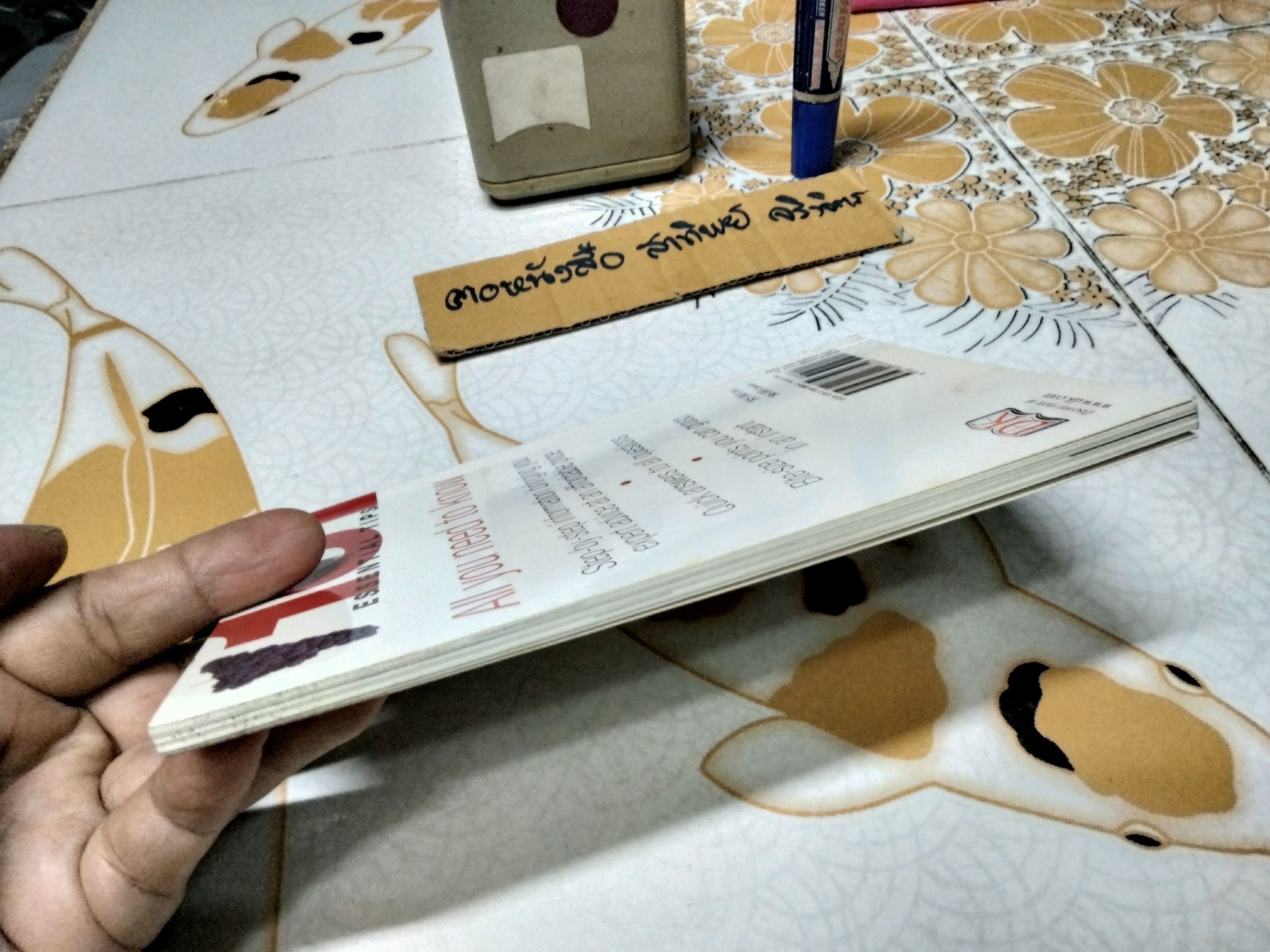 101 Essential Tips Wine by Tom Stevenson