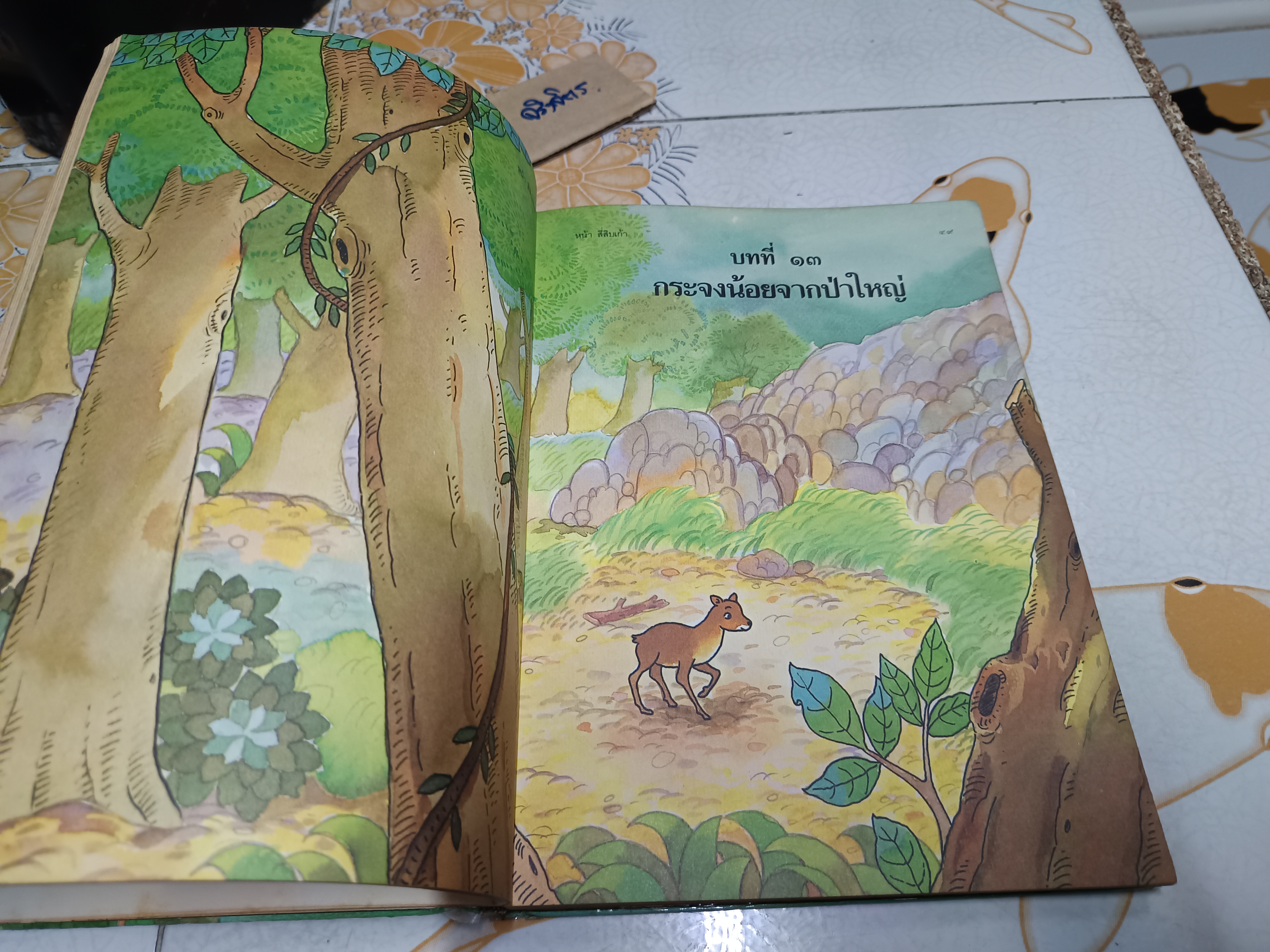 หนังสือเรียนภาษาไทย ชุดพื้นฐานภาษา ชั้นประถมศึกษาปีที่ 2 เล่ม 2 (ฉบับปรับปรุง พุทธศักราช 2533) - ปกแข็ง **สินค้าหมด**