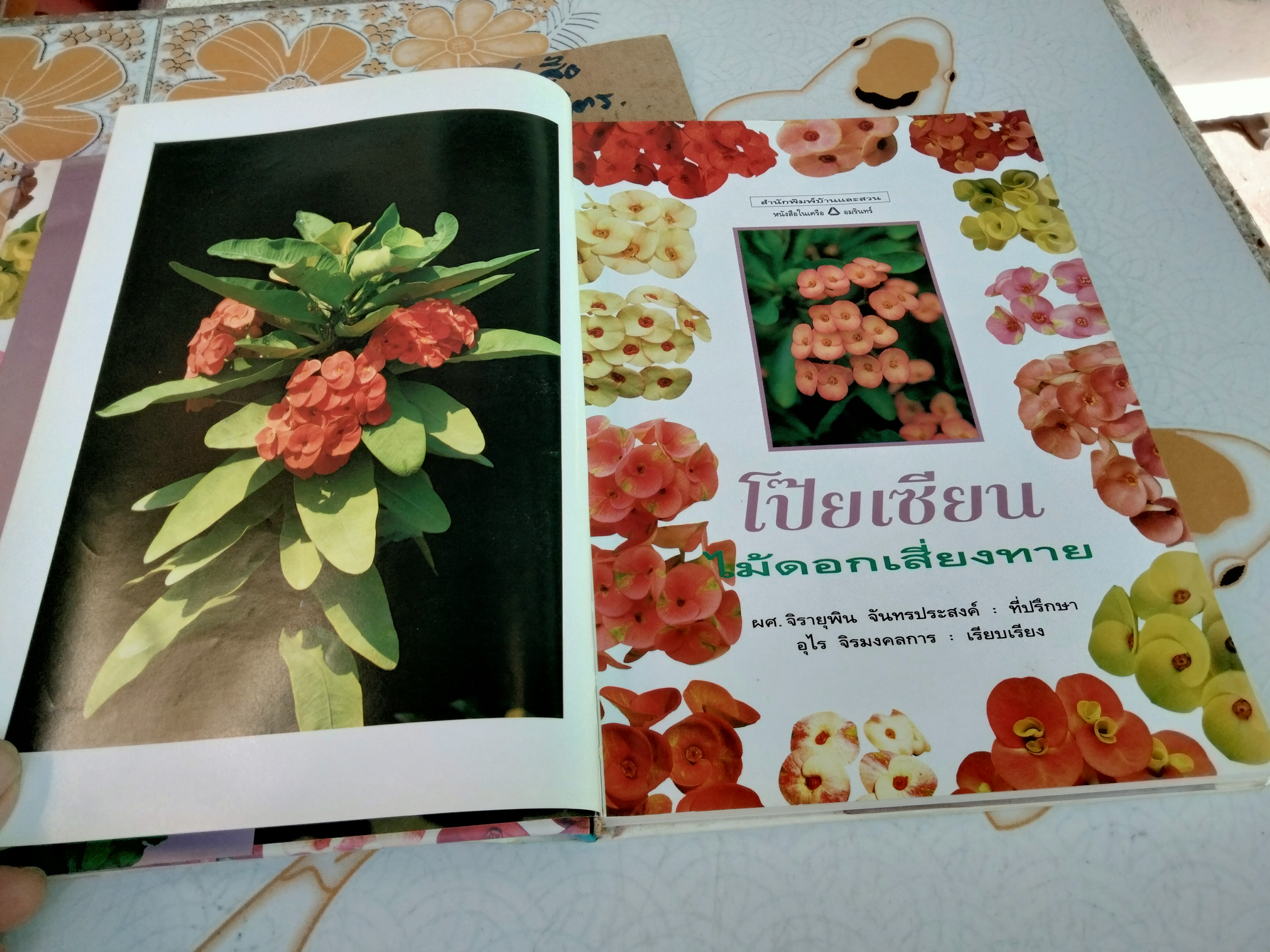 โป๊ยเซียน ไม้ดอกเสี่ยงทาย เล่ม 1 อุไร จิรมงคลการ เรียบเรียง , พิมพ์ครั้งแรก พ.ศ 2538