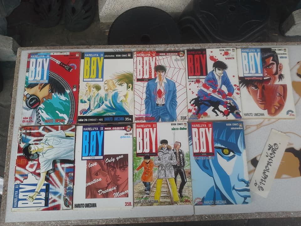 หนังสือการ์ตูน BOY HARELUYA ll 1-33 จบ ** สินค้าหมด**