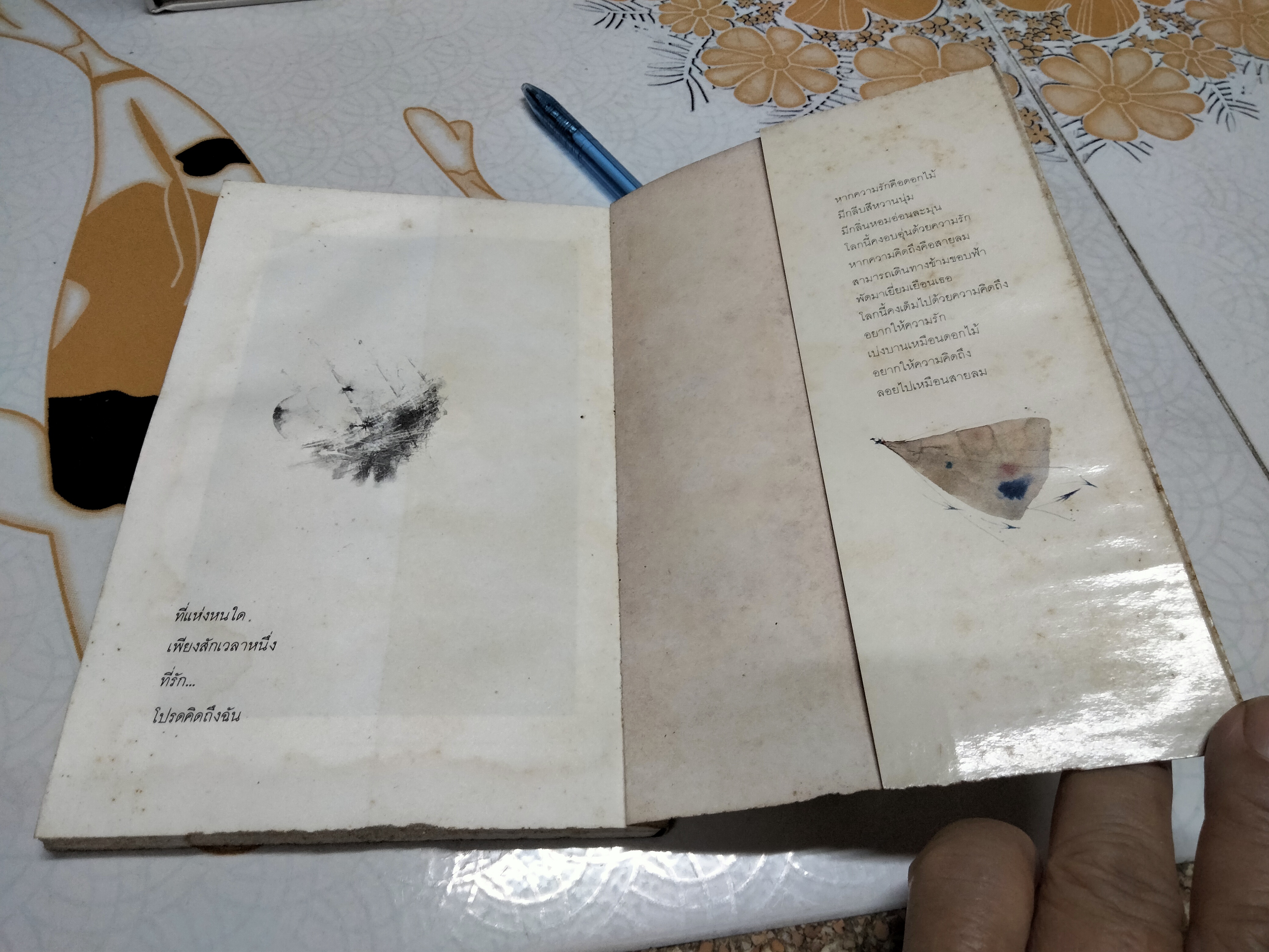 อันเป็นที่รัก โดย ปะการัง (มีคราบน้ำ) **สินค้าหมด**