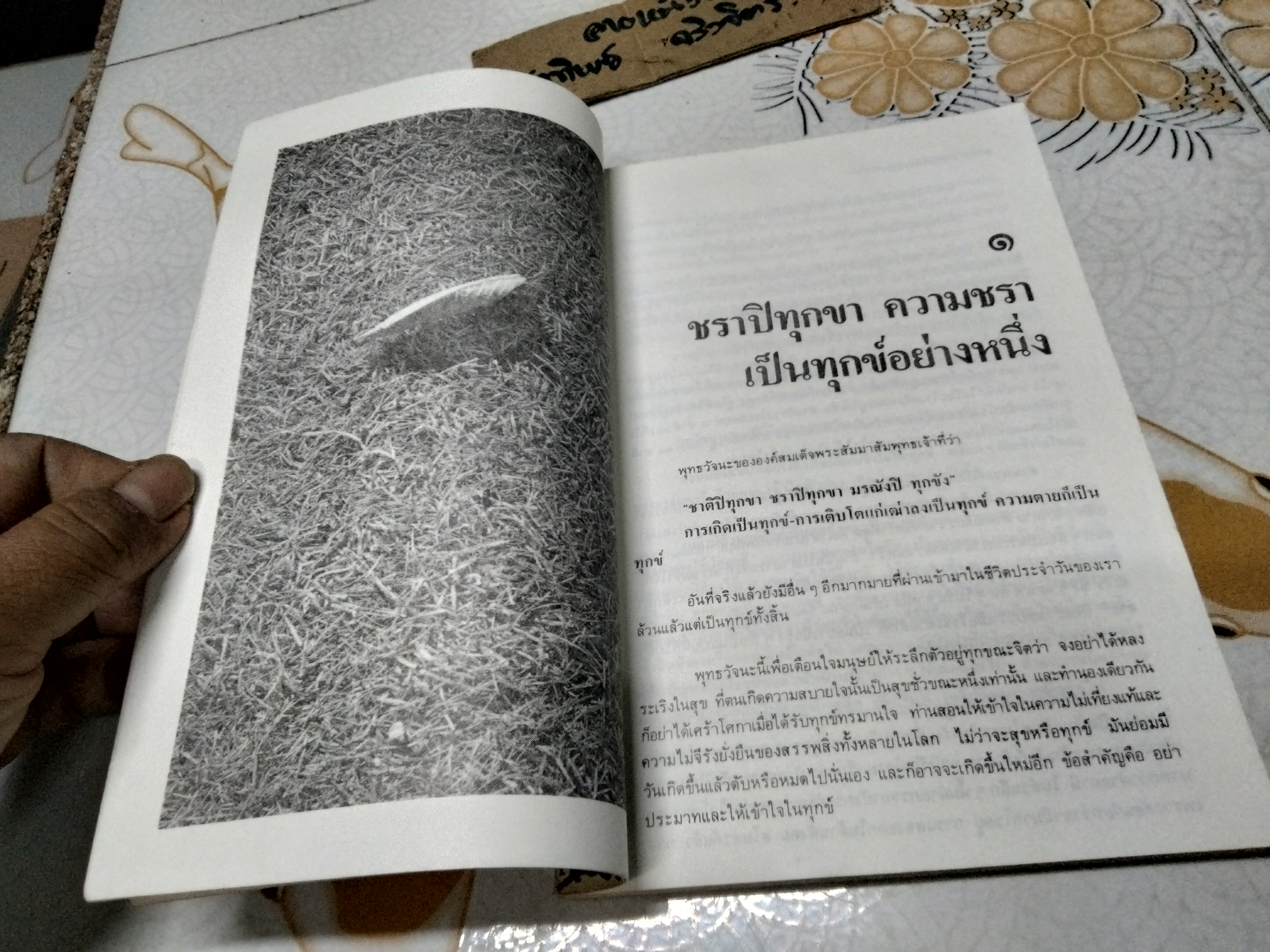 ทำอย่างไรจะปราศจากโรคและชะลอความชรา - เฉก ธนะสิริ พิมพ์ครั้งที่ 2/2532