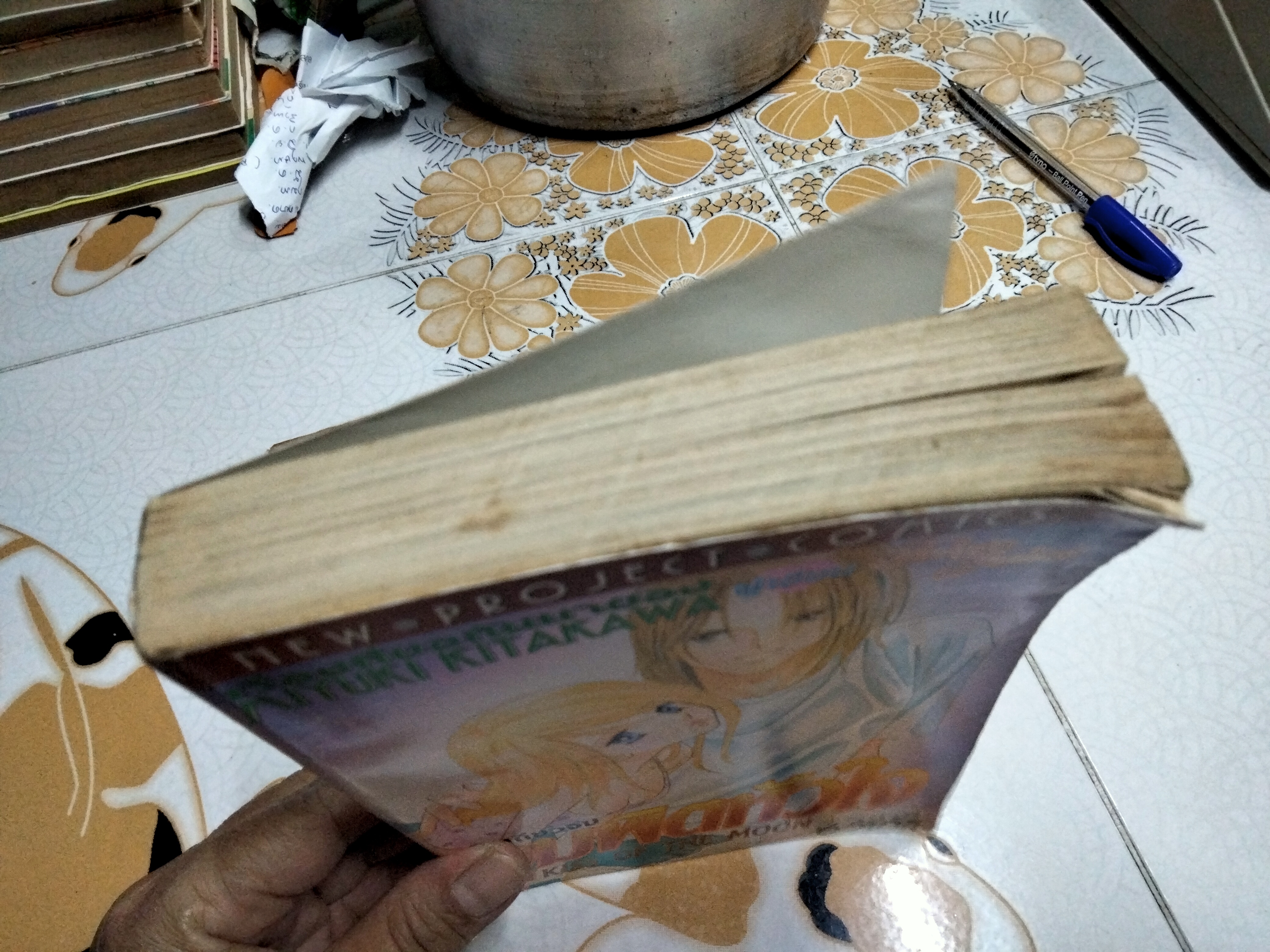 จุมพิตหัวใจ KISS OF THE MOON (เล่มเดียวจบ) โดย MIYUKI KITAKAWA