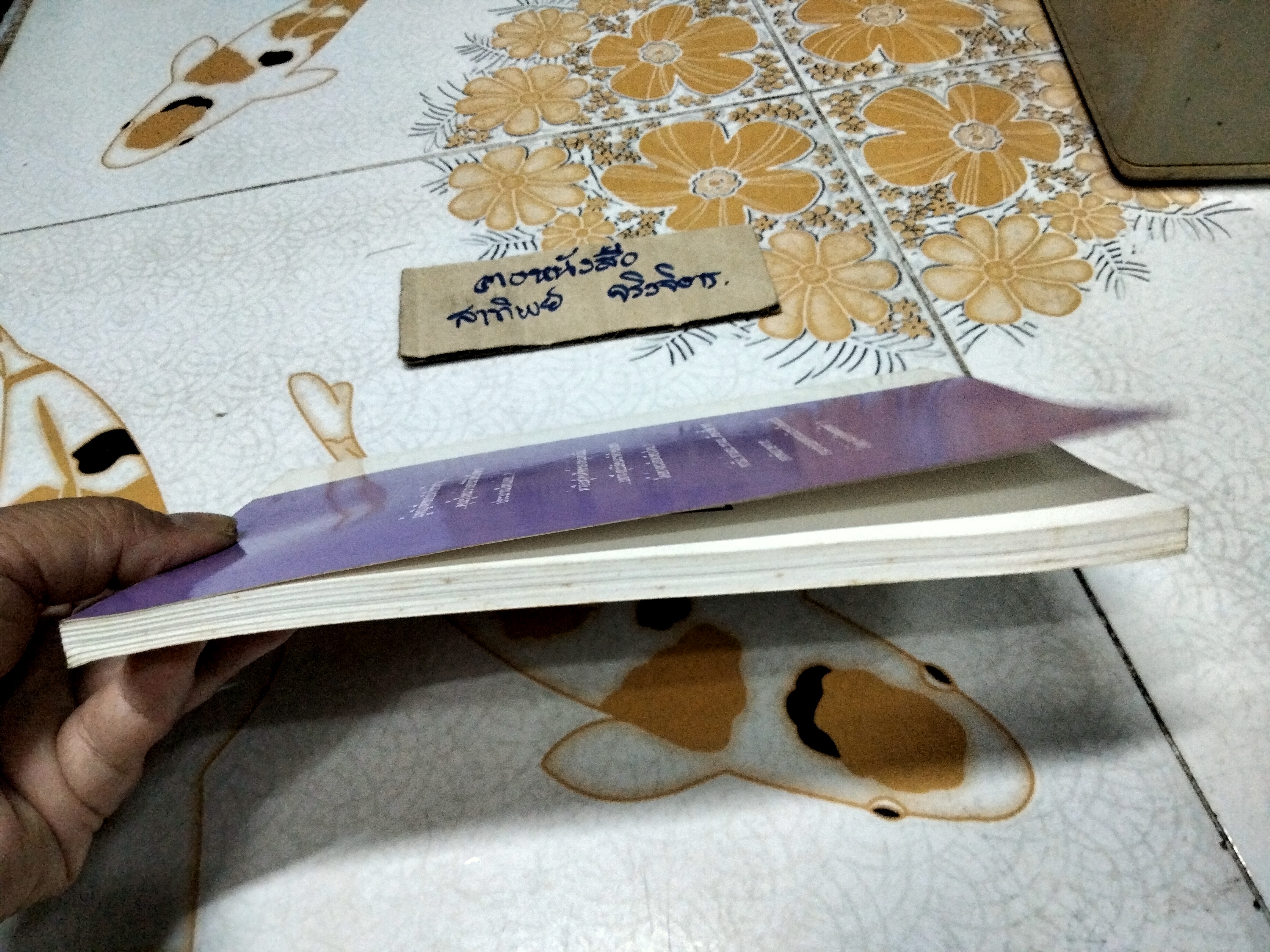 อ่านภาษากาย รู้นิสัย รู้ใจคน โดย ม.อึ้งอรุณ **สินค้าหมด**