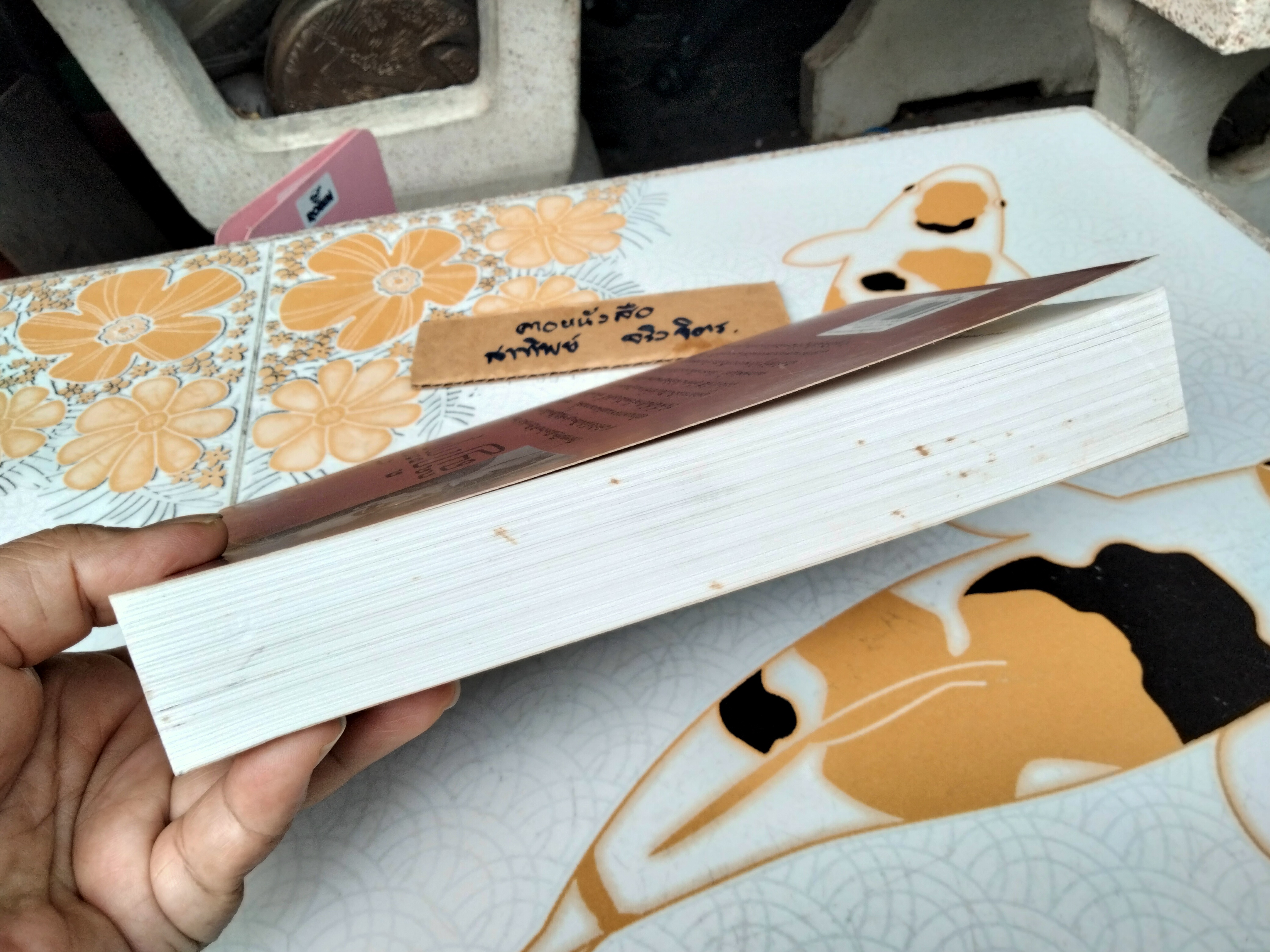 ความเป็นมาของคำสยาม ไทย ลาว และขอม และลักษณะทางสังคมของชื่อชนชาติ ฉบับสมบูรณ์ โดย จิตร ภูมิศักดิ์ (พิมพ์ 4/2540) **สินค้าหมด**