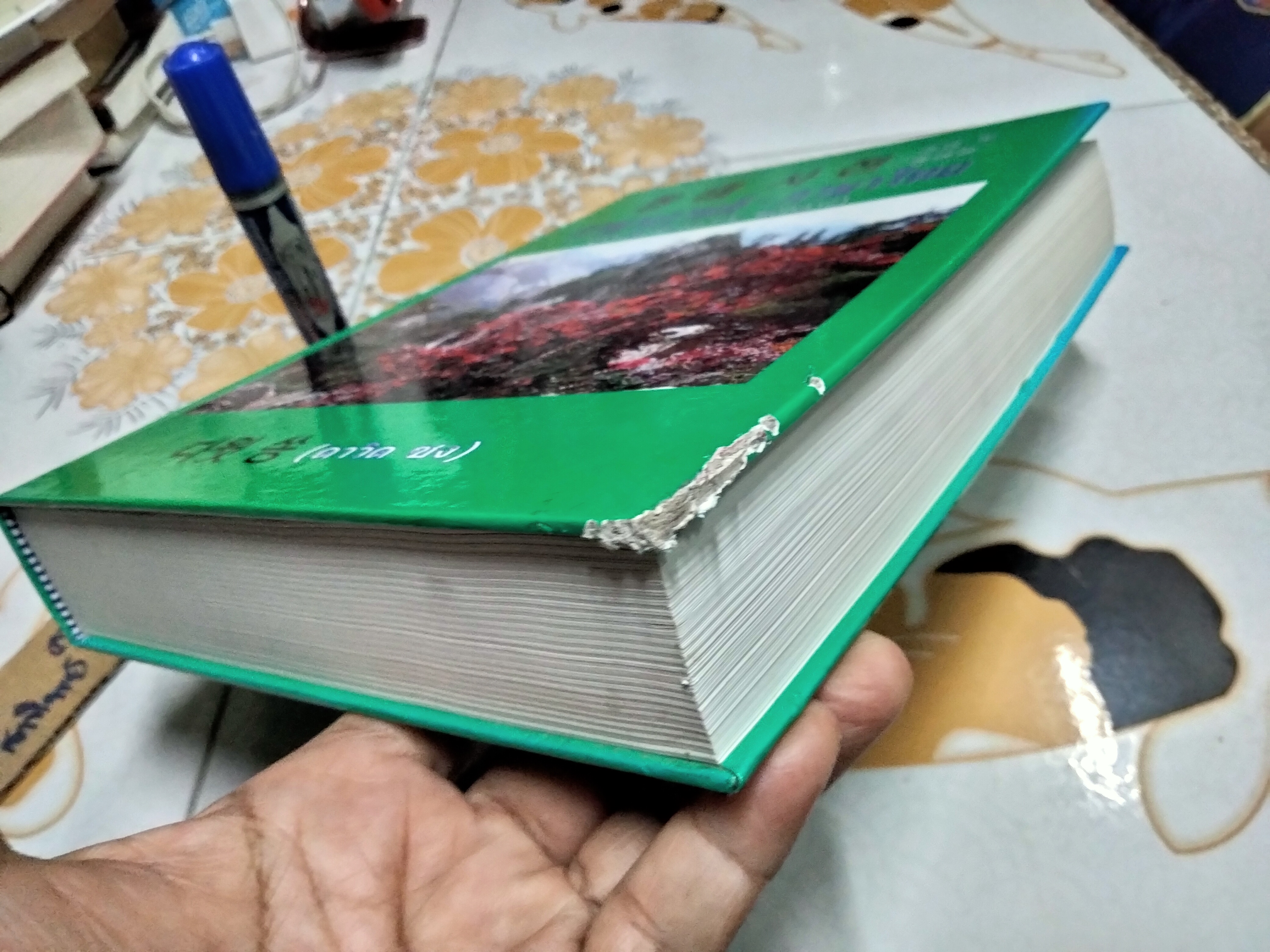 พจนานุกรมภาษาเกาหลี - ภาษาไทย (สำหรับชั้นต้นและชั้นกลาง) โดย ดาวิด ซง พิมพ์ครั้งแรก พ.ศ.2555