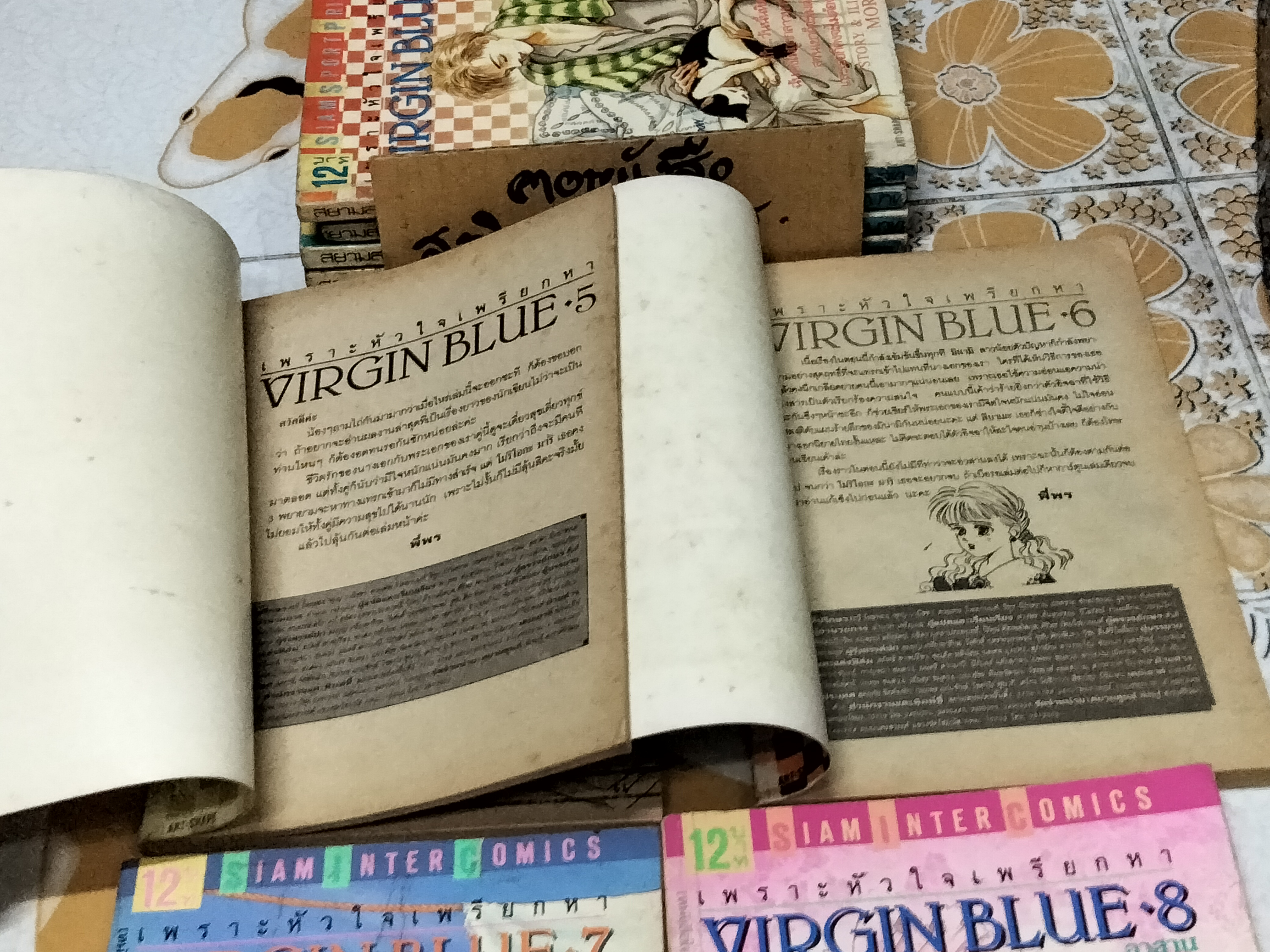 เพราะหัวใจเพรียกหา VIRGIN BLUE (8 เล่มจบ) **สินค้าหมด**