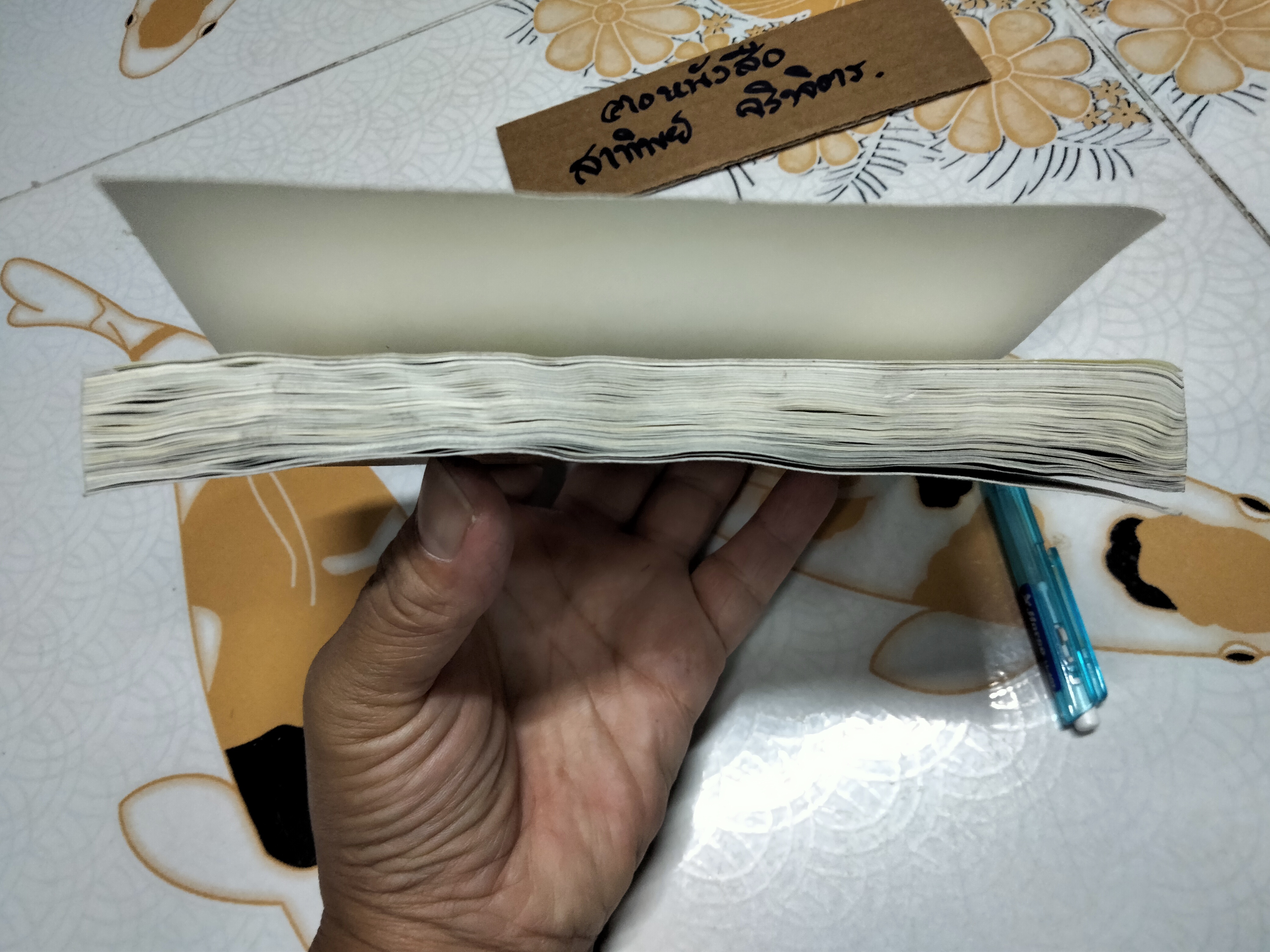 จากซิเซโรถึงซีซาร์ From Cicero to Caesar โดย วีระ ธีรภัทร (หนังสือโดนน้ำ) **สินค้าหมด**