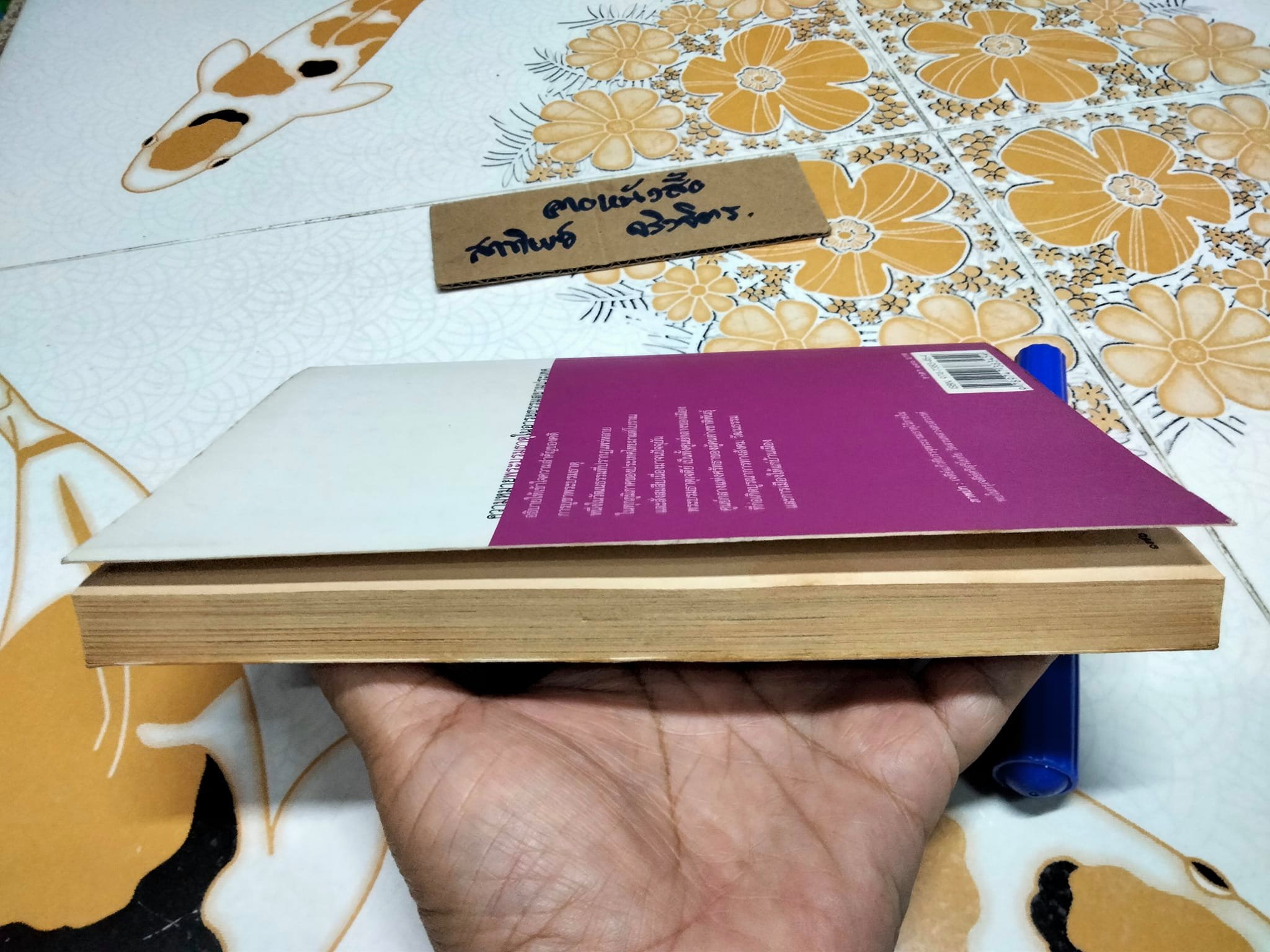 ความหมายพระบรมธาตุในอารยธรรมสยามประเทศ โดย อ.ศรีศักร วัลลิโภดม **สินค้าหมด**