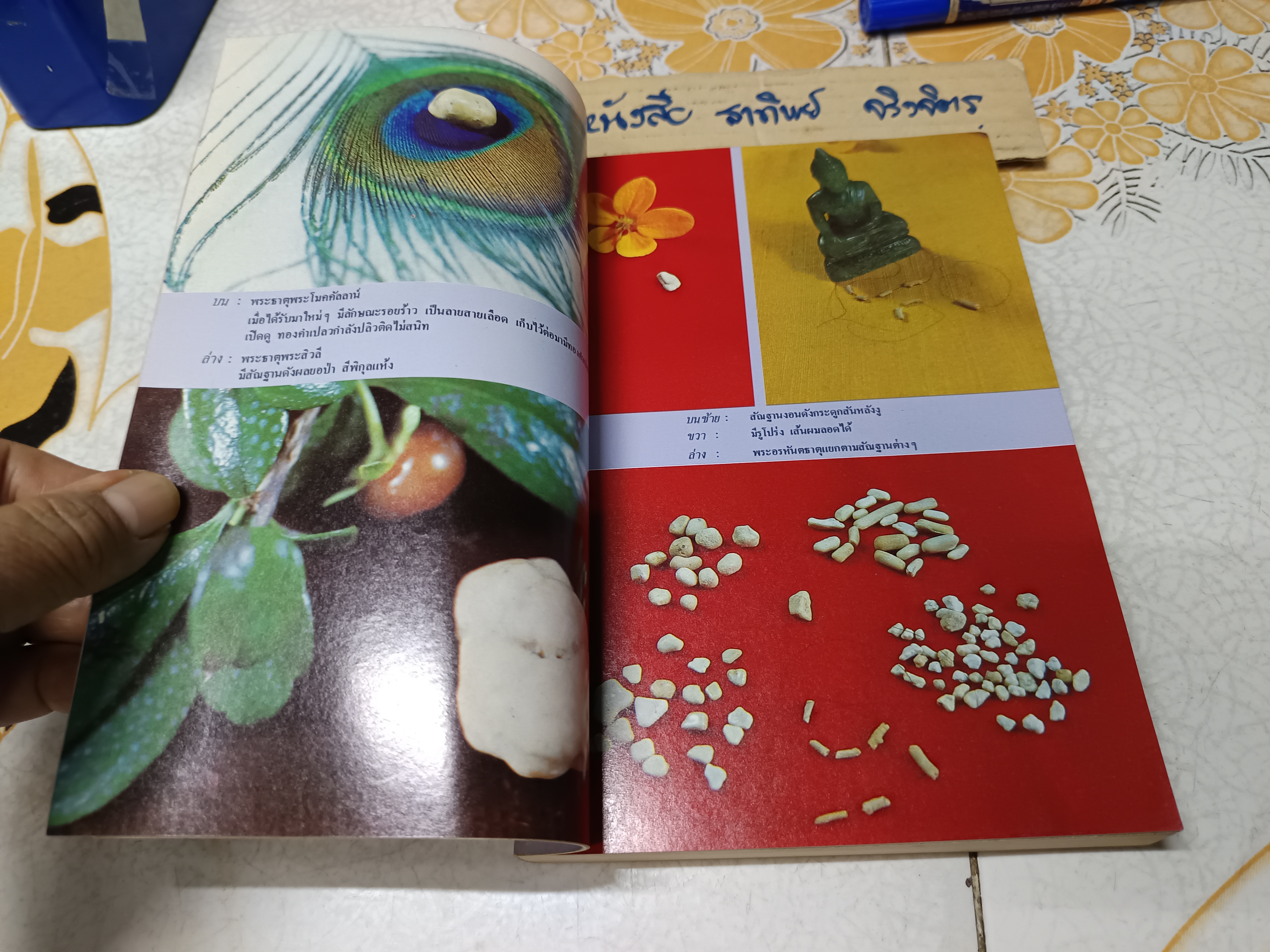 อนุสรณ์นางชาญสงคราม (แฉล้ม ชาลีจันทร์) มาตาบูชา พระบรมสารีริกธาตุ และ พระอรหันตธาตุ ผลงานของ คุณหญิงสุรีพันธุ์ มณีวัต