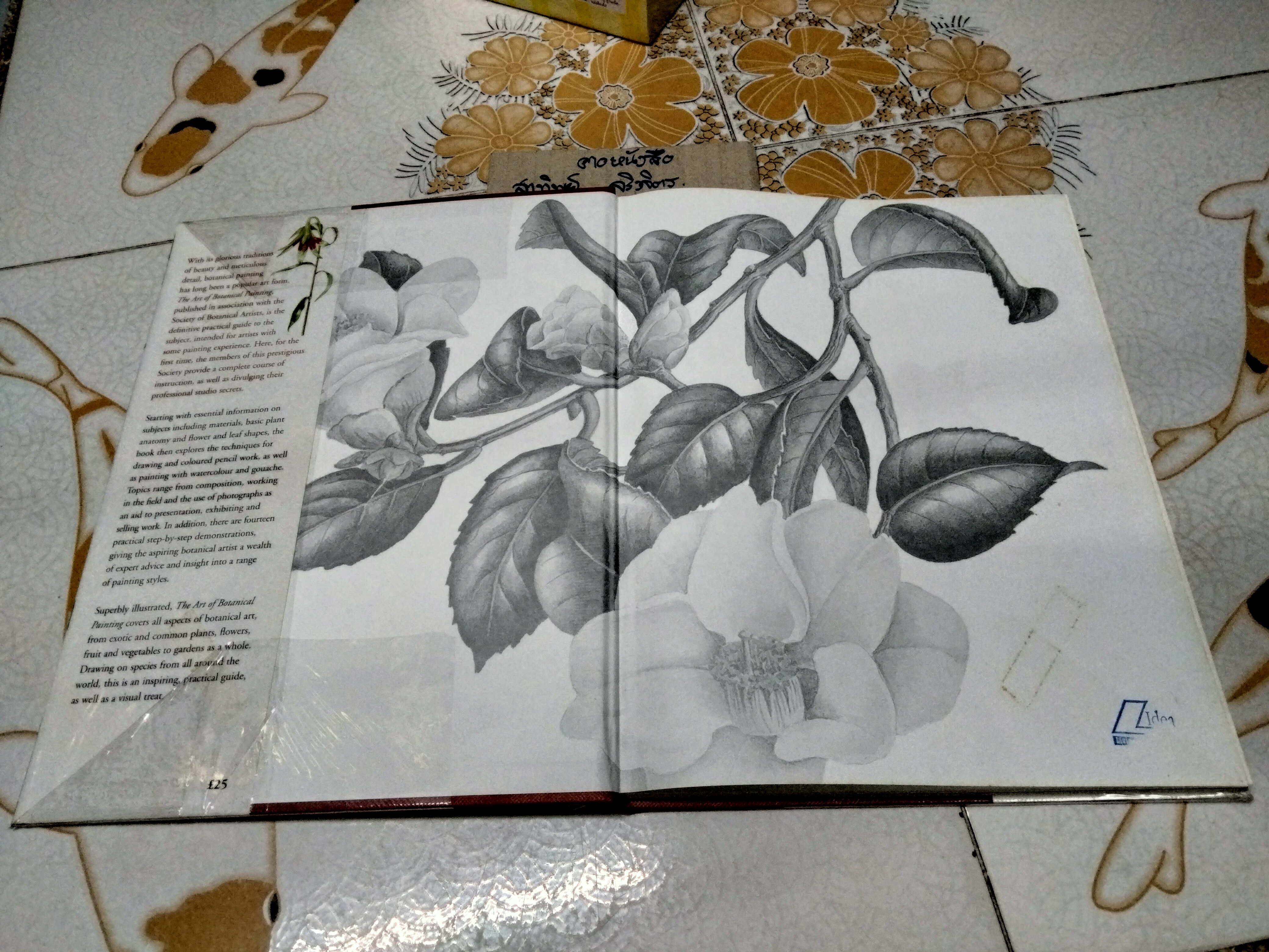THE ART OF BOTANICAL PAINTING (ปกแข็ง) MARGARET STEVENS ศิลปะการวาดภาพประกอบพฤกษศาสตร์ **สินค้าหมด**