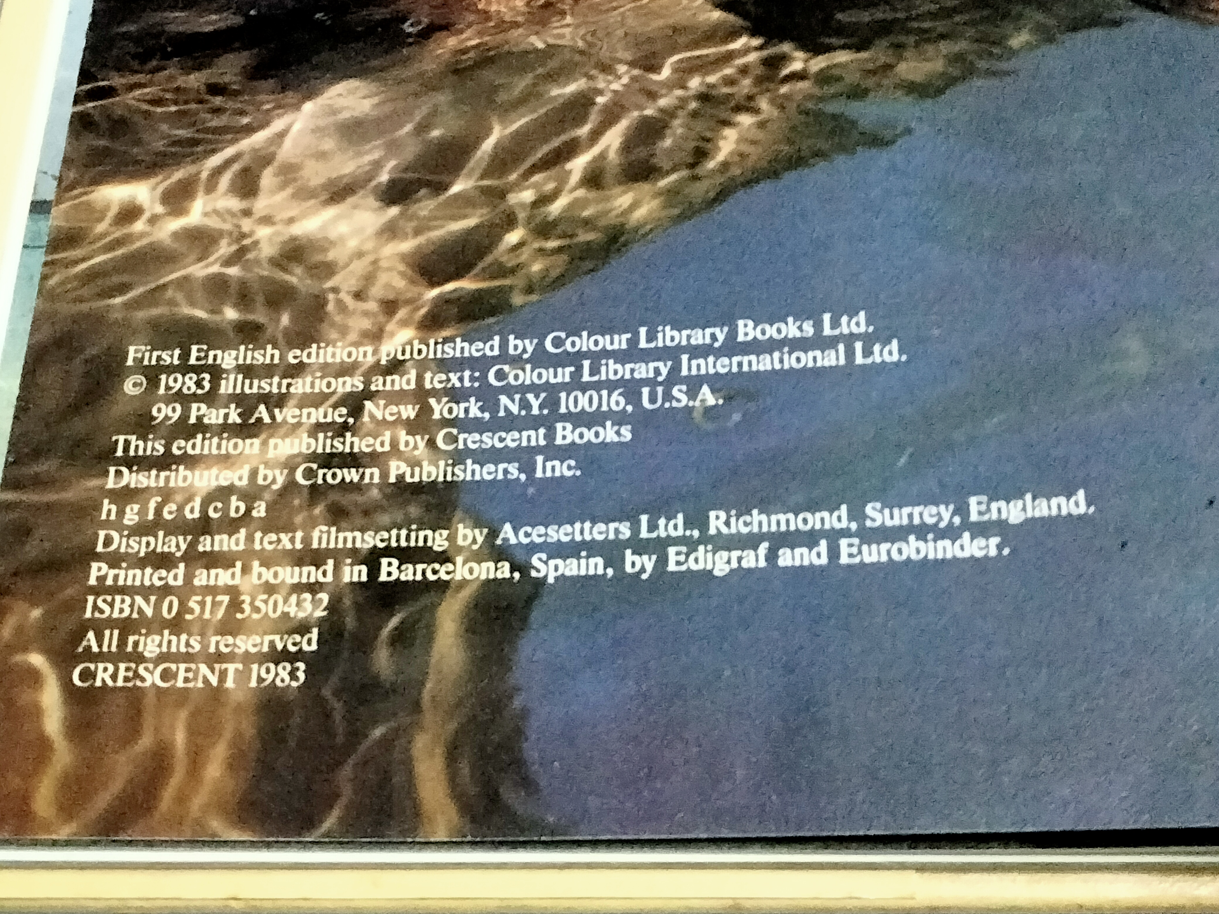 หนังสือ THE ART OF NUDE PHOTOGRAPHY BY Peter Barry (ปกแข็ง)