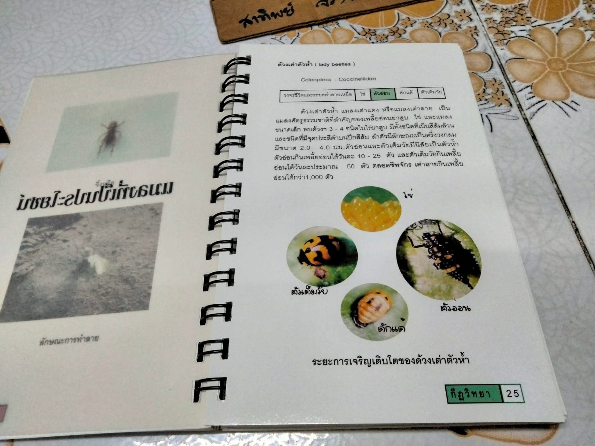 คู่มือ แมลงยาสูบ Tobacco Insect โดย กองกีฏวิทยา สถานีทดลองยาสูบแม่โจ้