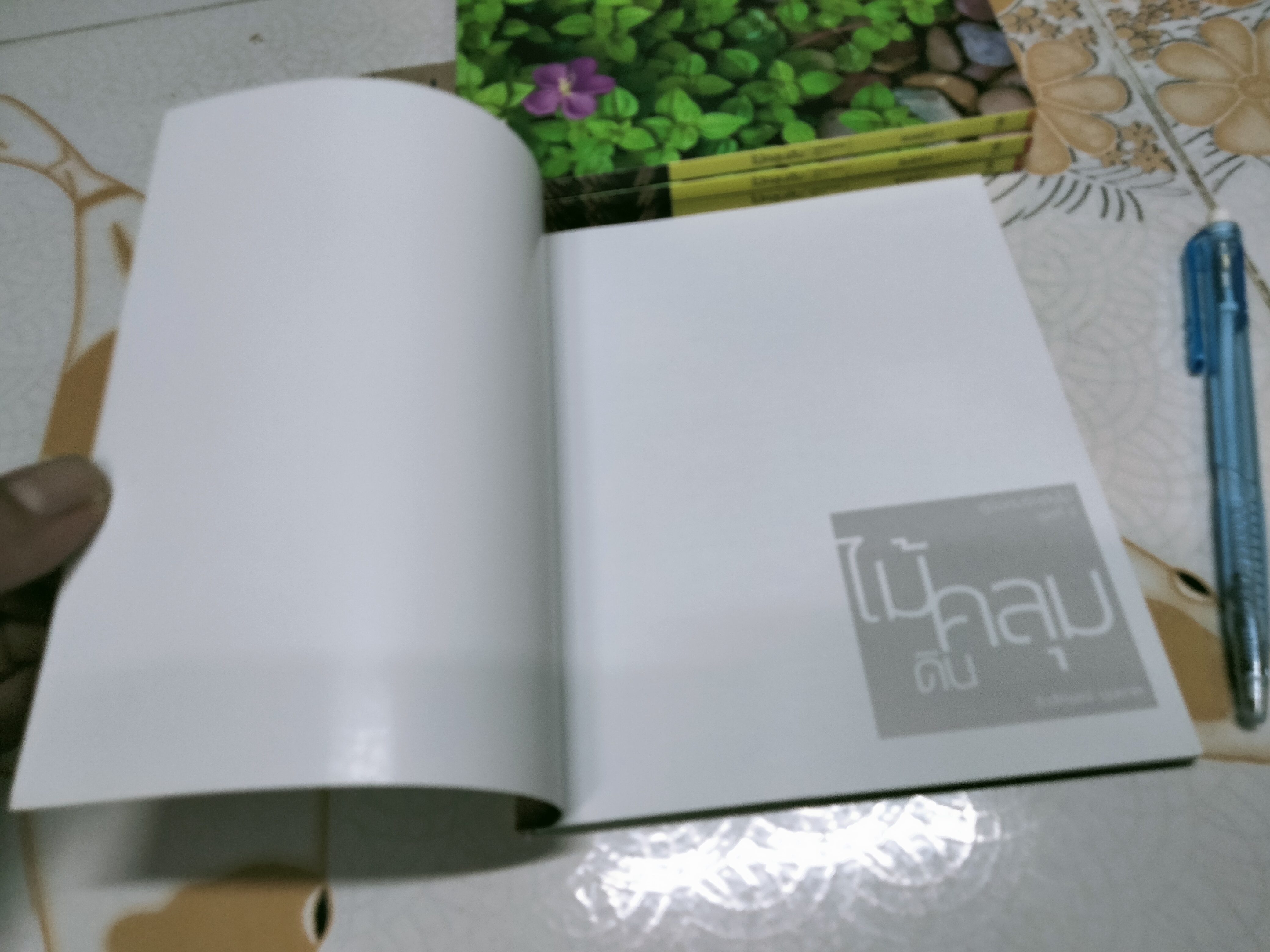 ไม้คลุมดิน - คู่มือคนรักต้นไม้ ชุดที่ 6 โดย ธิวลักษณ์ บุนนาค พิมพ์ครั้งที่ 1 สำนักพิมพ์บ้านและสวน **สินค้าหมด**