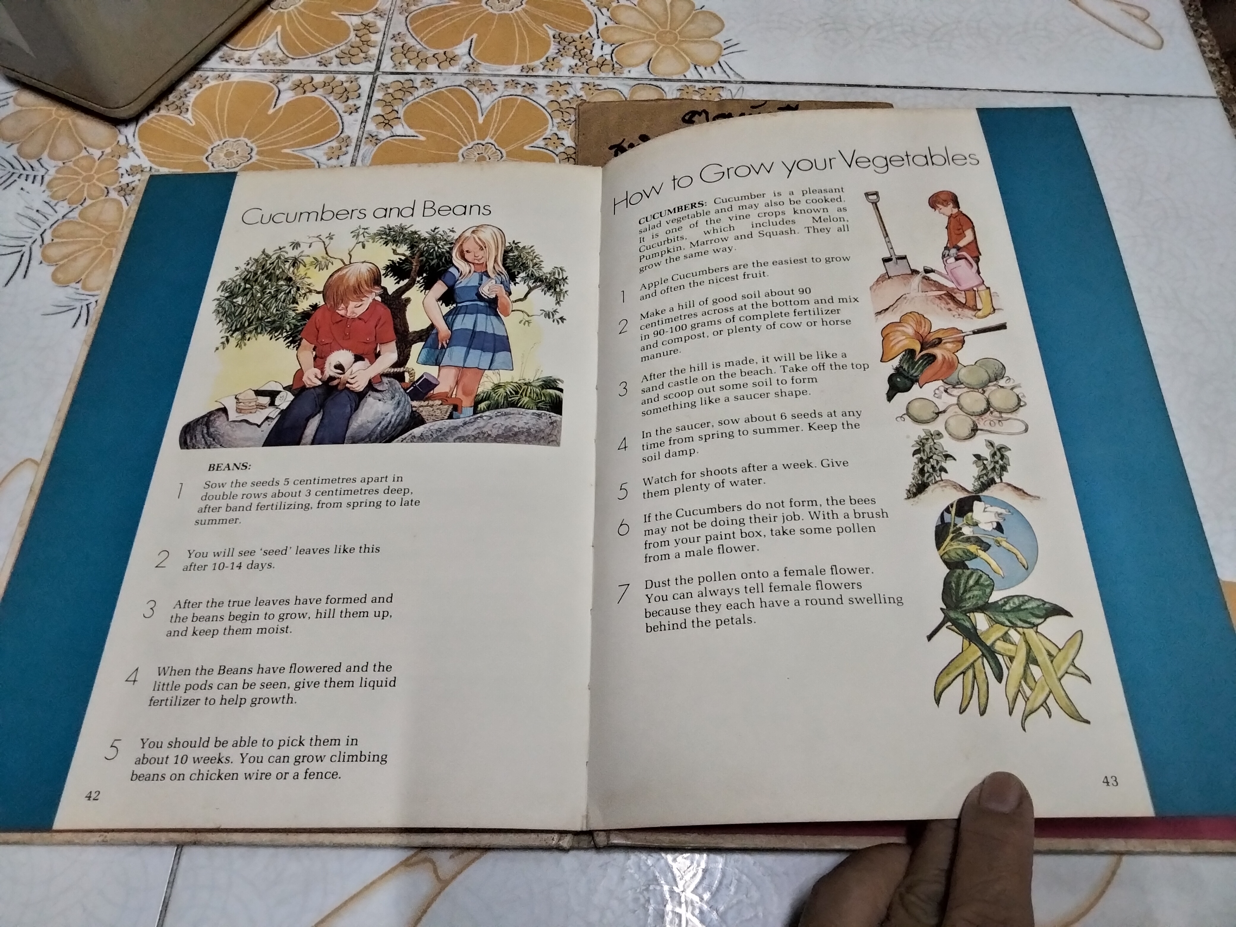 My First gardening book (Vintage) Written by Jessie Boyd * ชำรุด - หน้าหาย 1 คู่ (หน้า 13-14 และ 35-36) **สินค้าหมด**