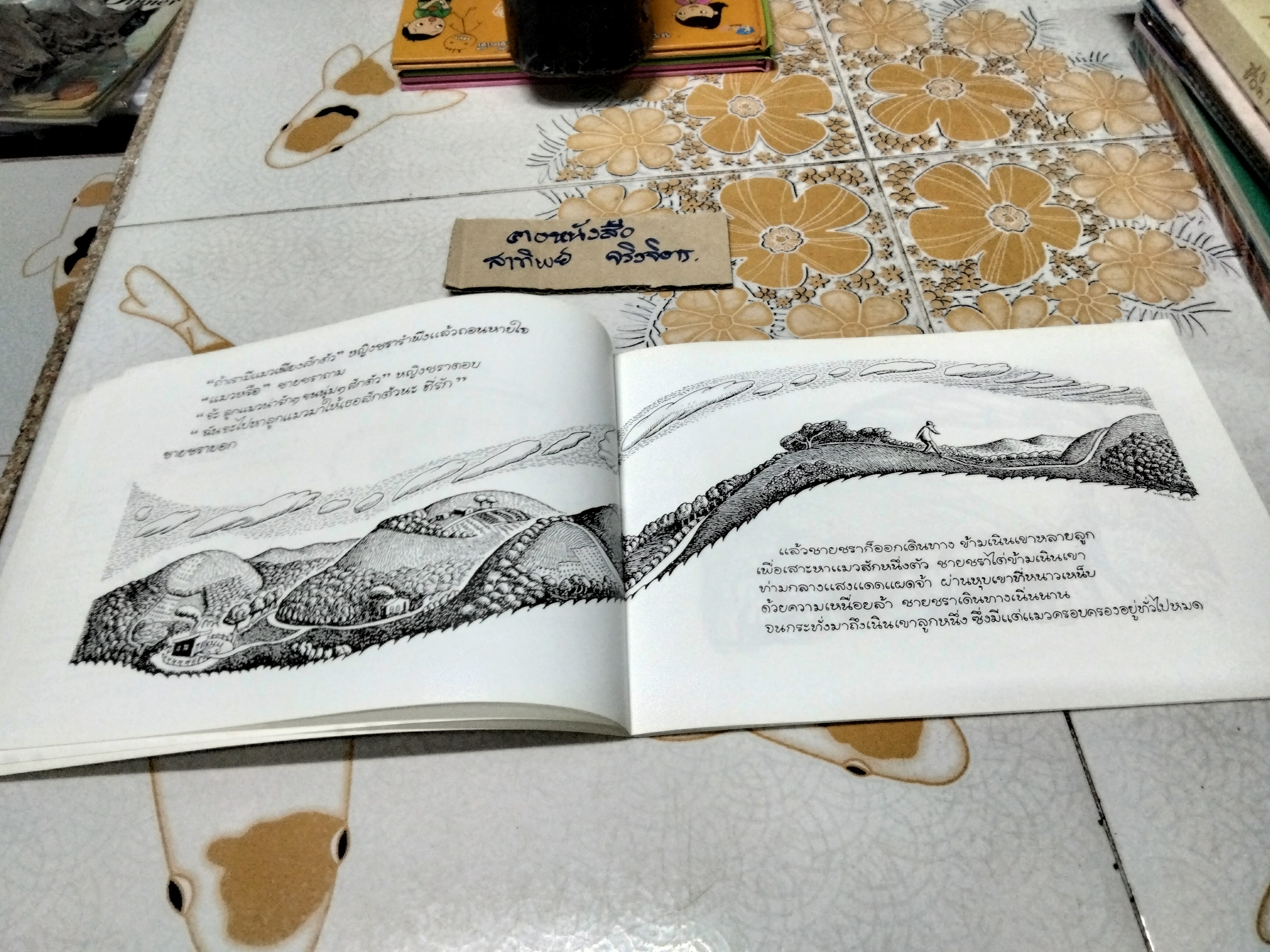 แมวล้านตัว (Millions of cats) เรื่องและภาพโดย แวนดา ก็อก - ชีวัน วิสาสะ แปล , พิมพ์ครั้งที่ 3-2552