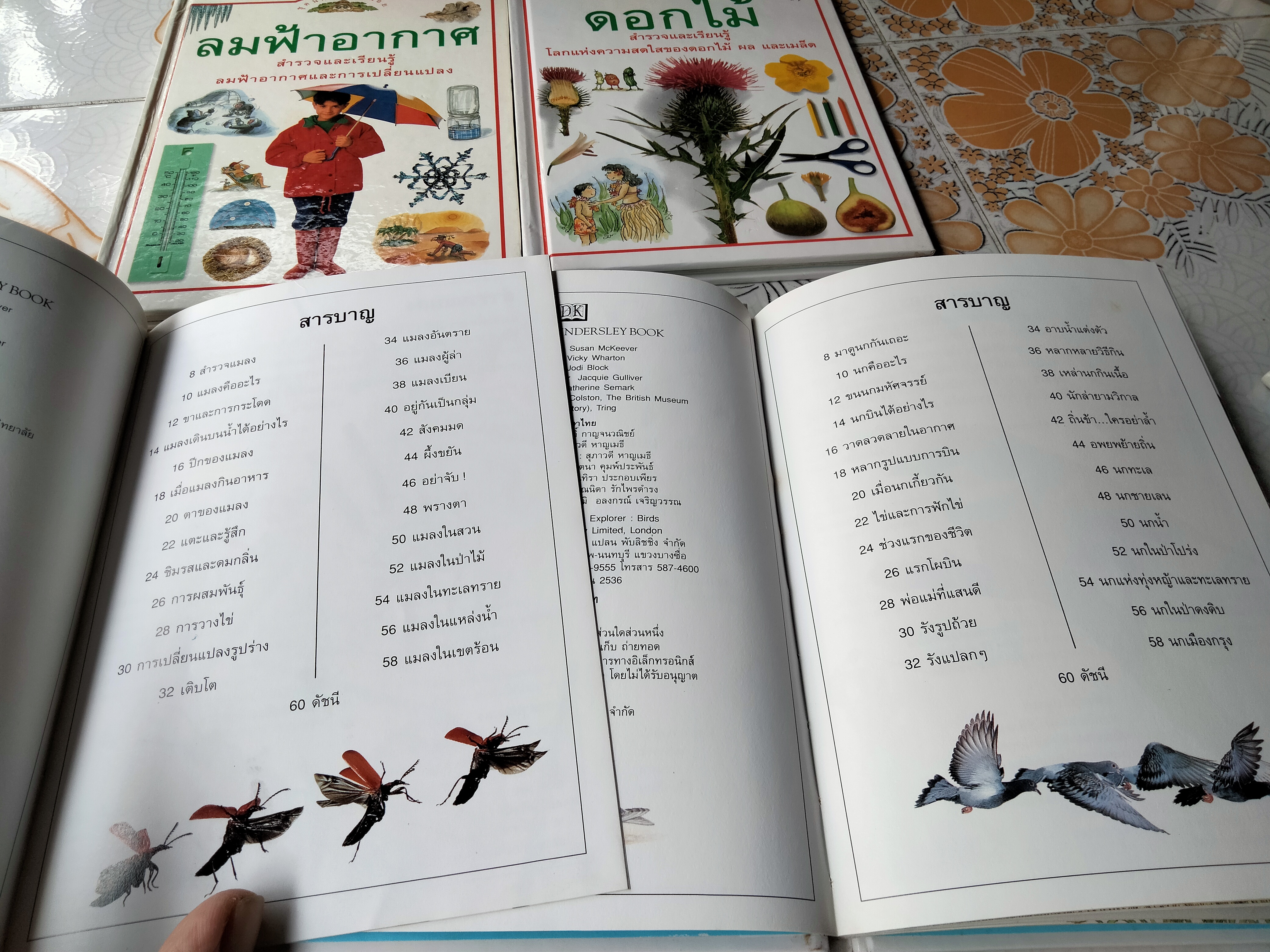 หนังสือชุดนักสำรวจน้อย-ลมฟ้าอากาศ, ดอกไม้, แมลง ,นก (Boxset) **สินค้าหมด**