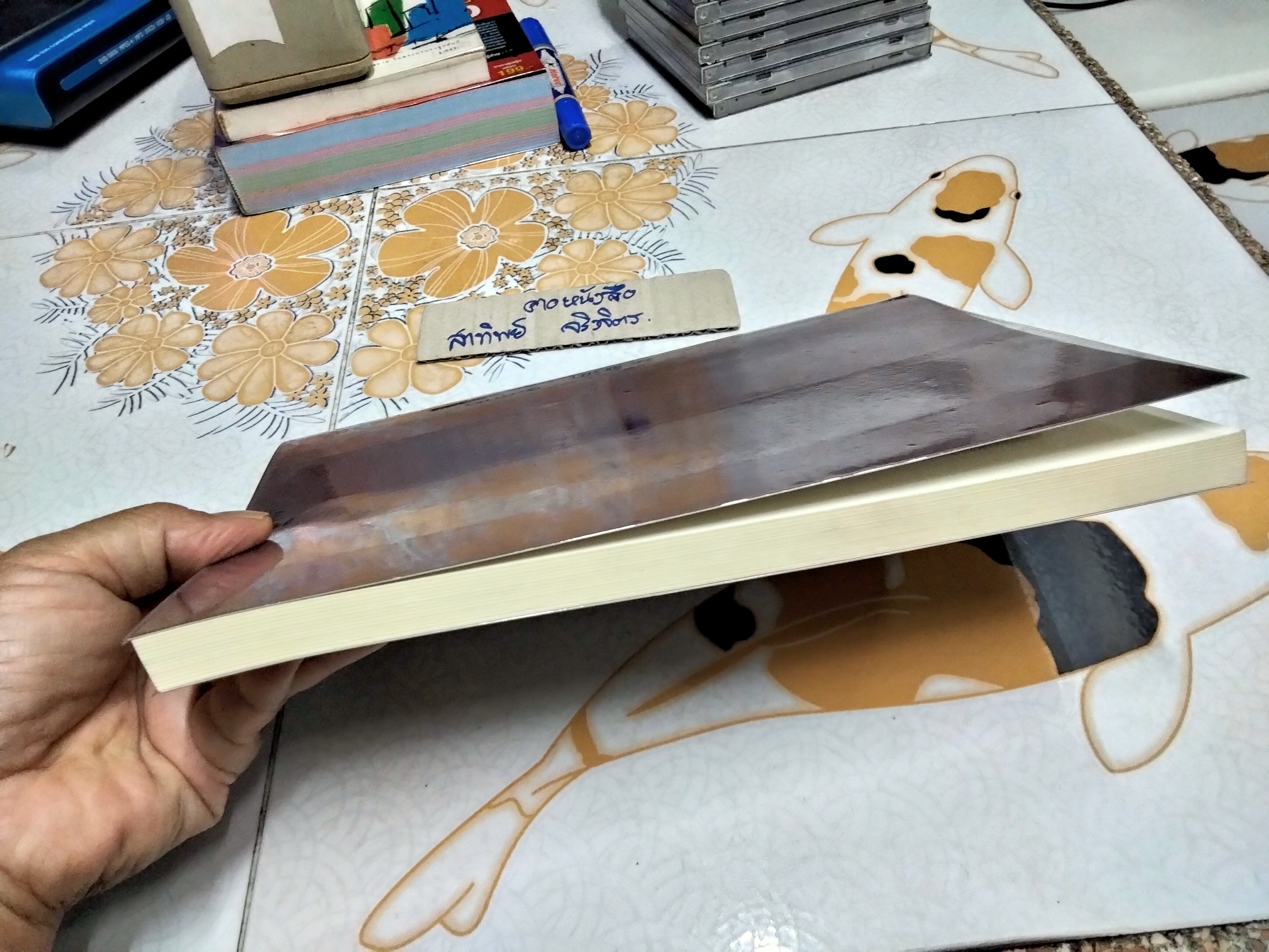 ธรรมเทศนา การหลีกเร้นปฏิบัติสมาธิวิปัสสนา หลักสูตรจากพุทธโอษฐ์ - วัดป่าดอนหายโศก จ.อุดรธานี **สินค้าหมด**