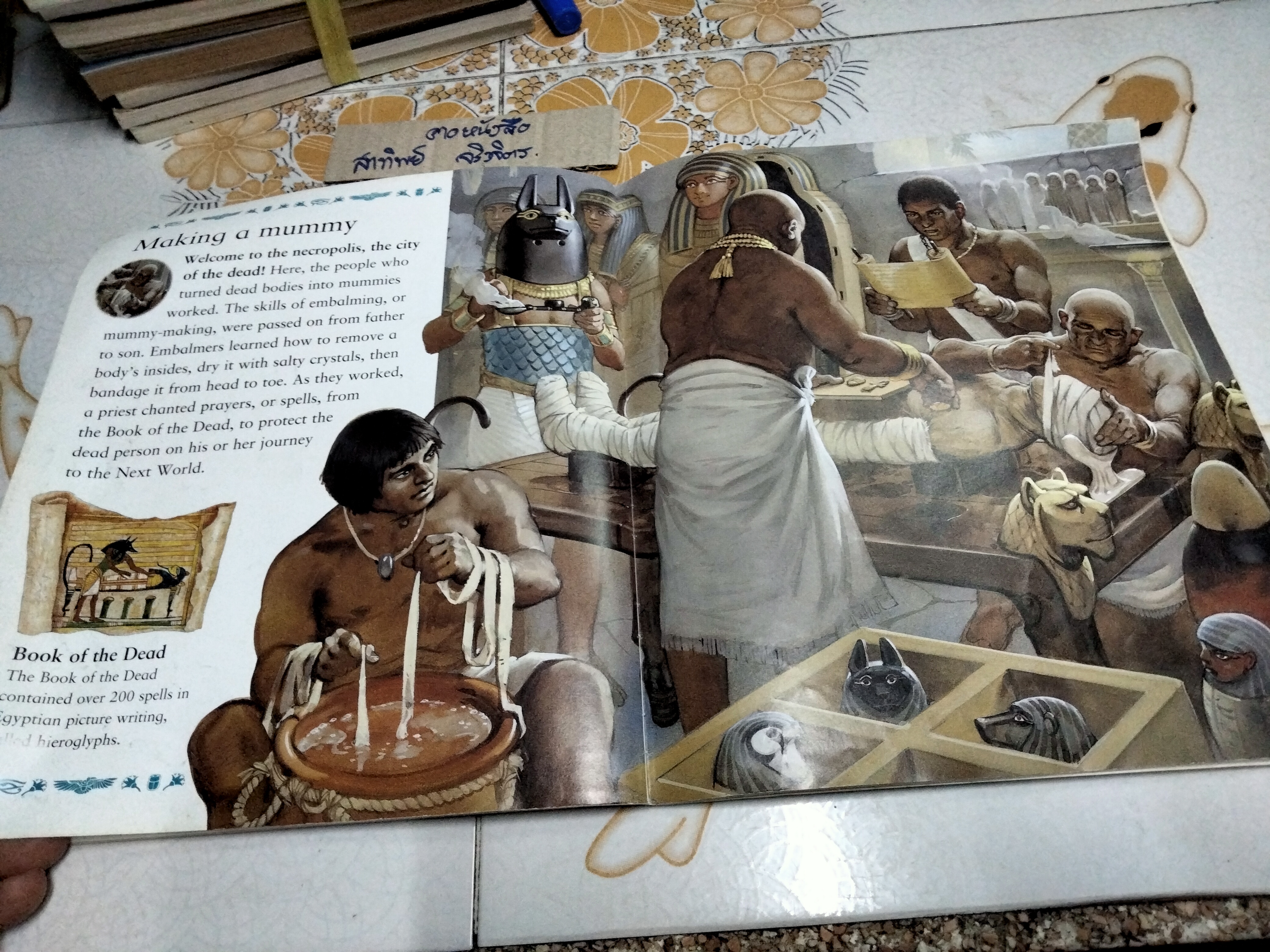 The Best Book of Mummies Kingfisher Publications, 1999