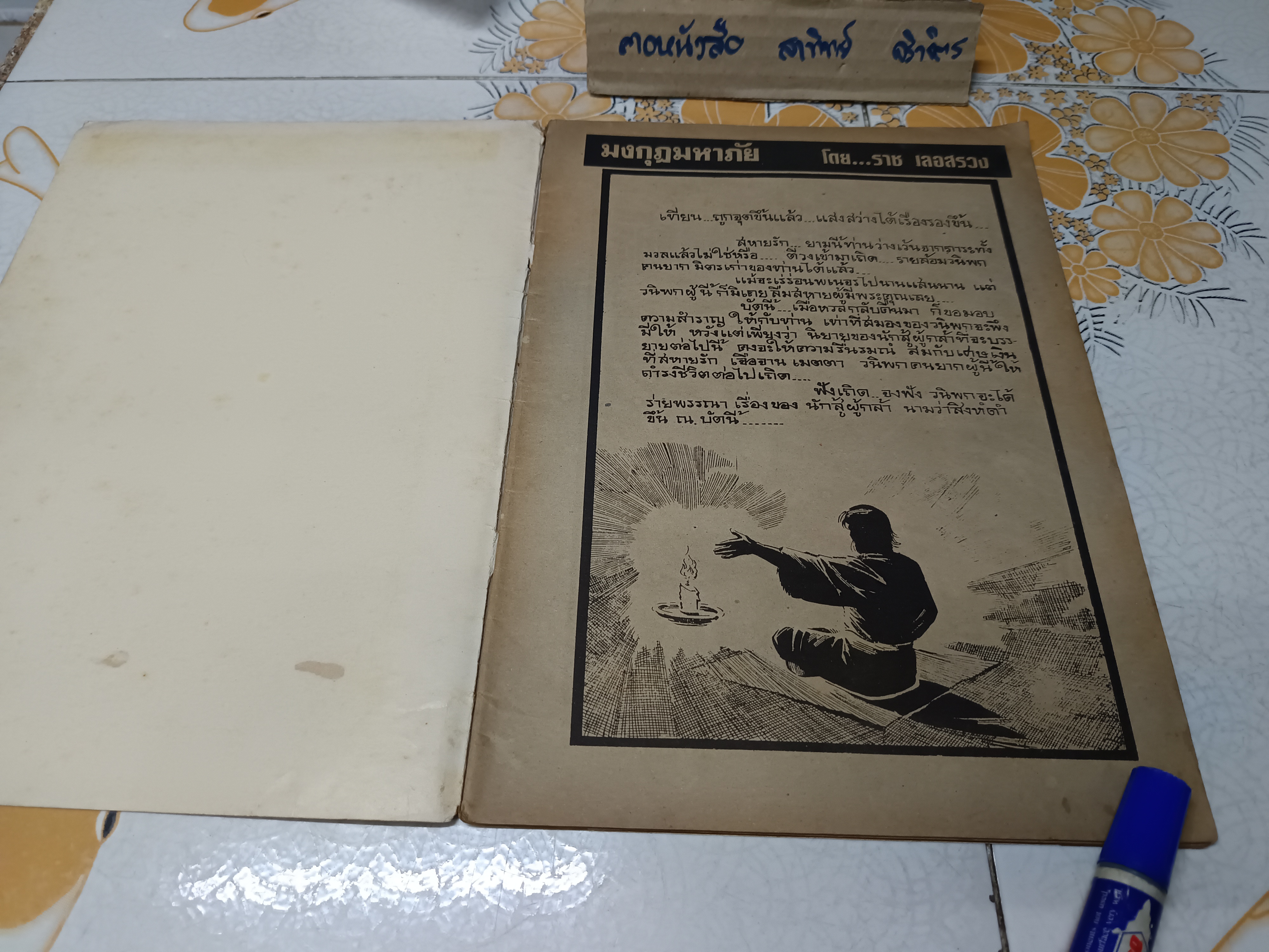 นิยายภาพของ ราช เลอสรวง ตอน มงกุฎมหาภัย 1 เล่มจบ / สิงห์ดำ ภาคพิเศษ (เล่มเดียวจบ)