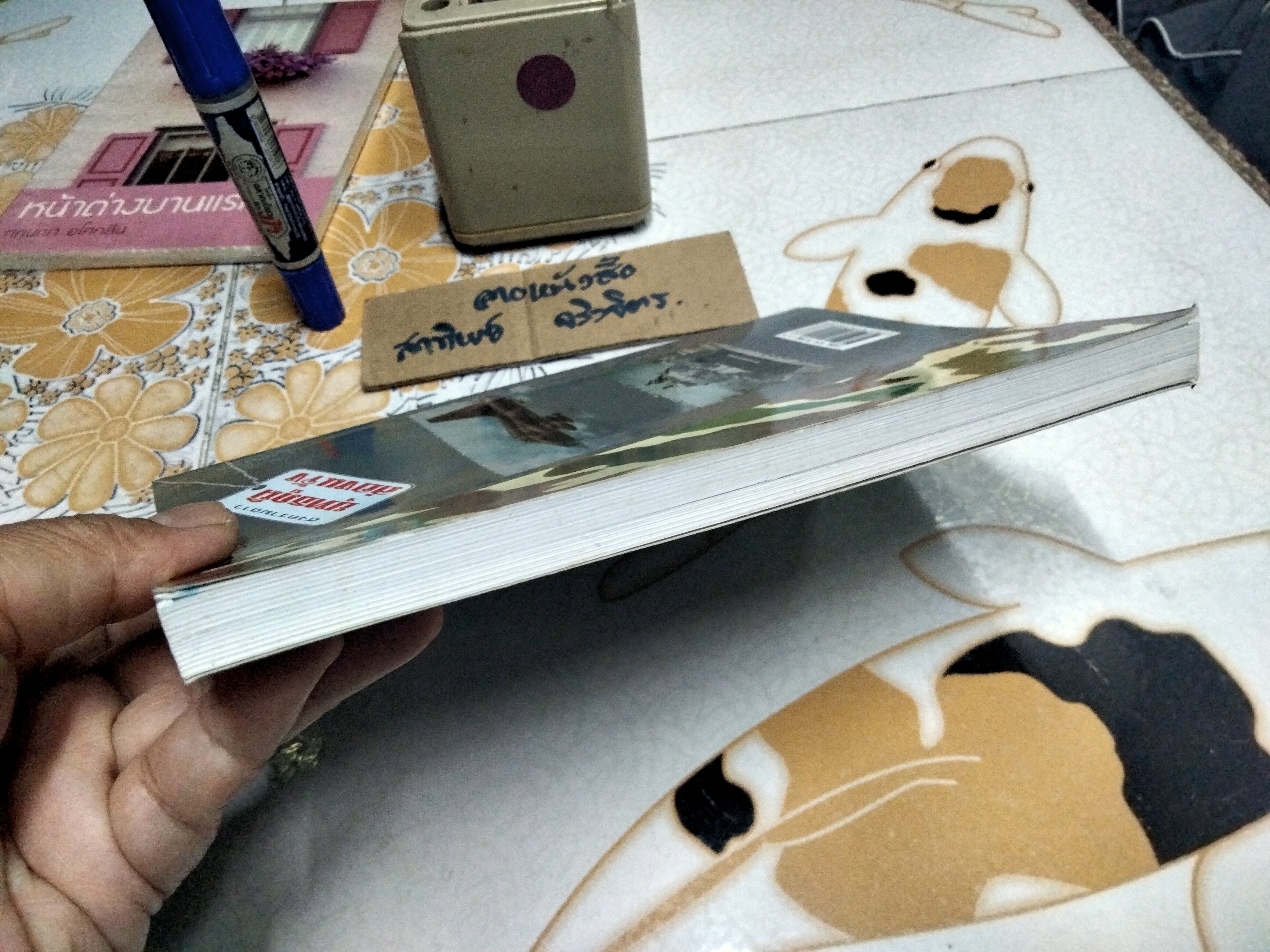 สงครามลาว ยุทธภูมิล่องแจ้ง โดย ชาลี คเชนทร์ (เฉลิมชัย ธรรมเวทิน) **สินค้าหมด**