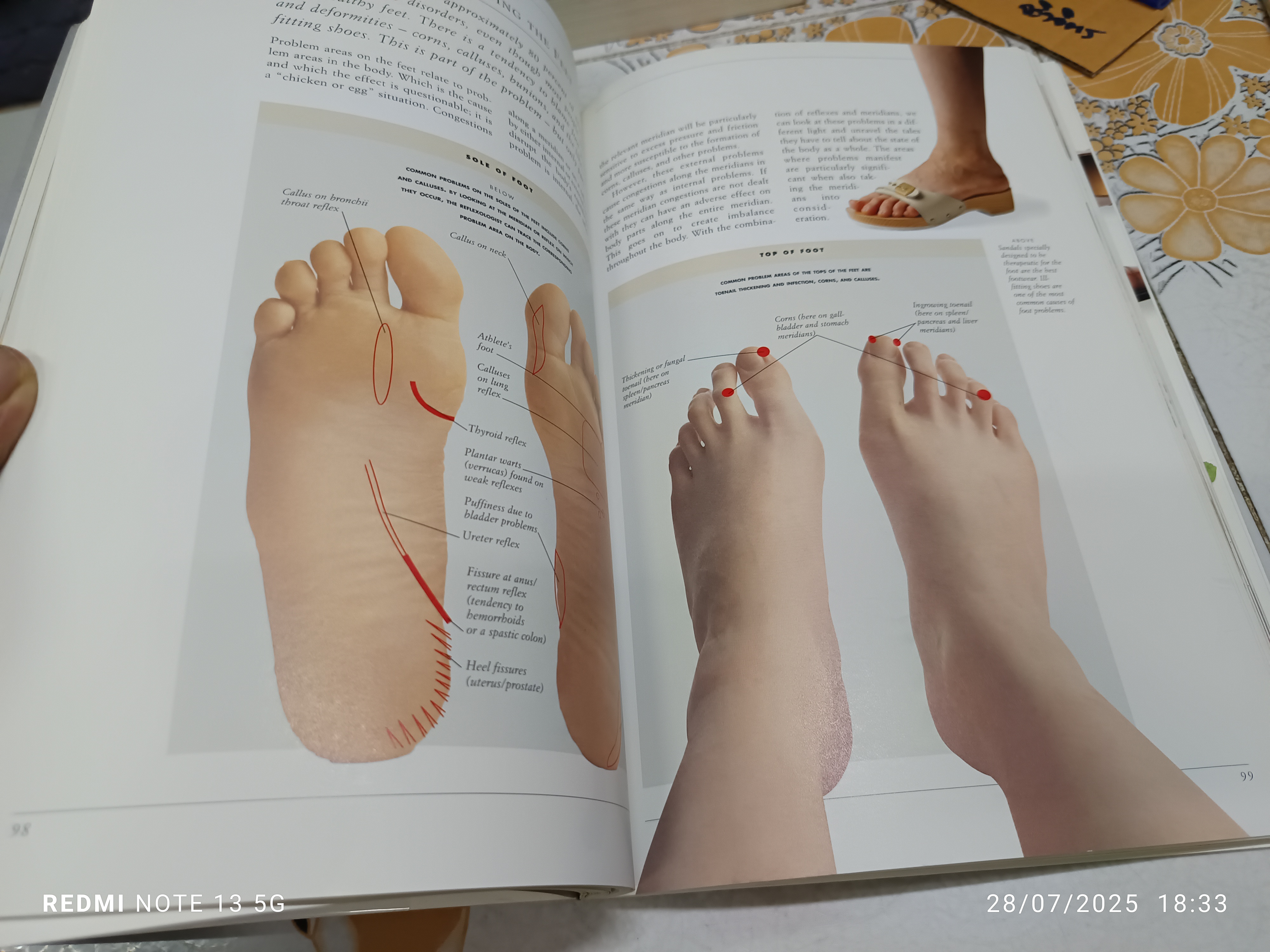 The Complete Illustrated Guide to Reflexology เขียนโดย Inge Dougans
