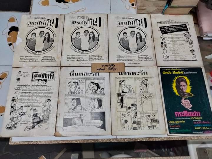 นิยายภาพ กระสือสาว เล่ม 1-8 (ยกชุด) (ชุดนี้มี 9 เล่มจบ) เรื่องและภาพโดย ทวี วิษณุกร **สินค้าหมด**