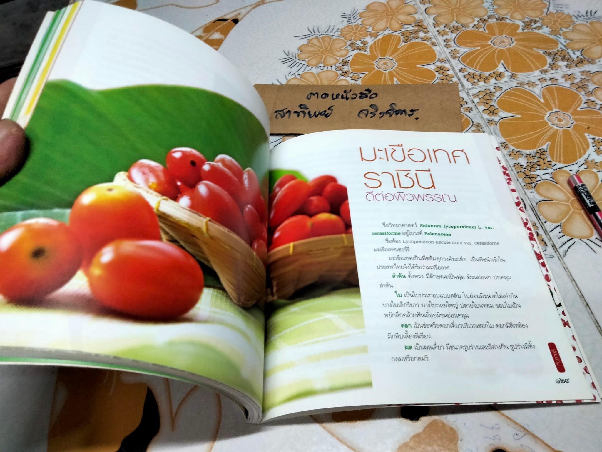 กินตามสี - รศ.ดร. กรณ์กาญจน์ ภมรประวัติ **สินค้าหมด**