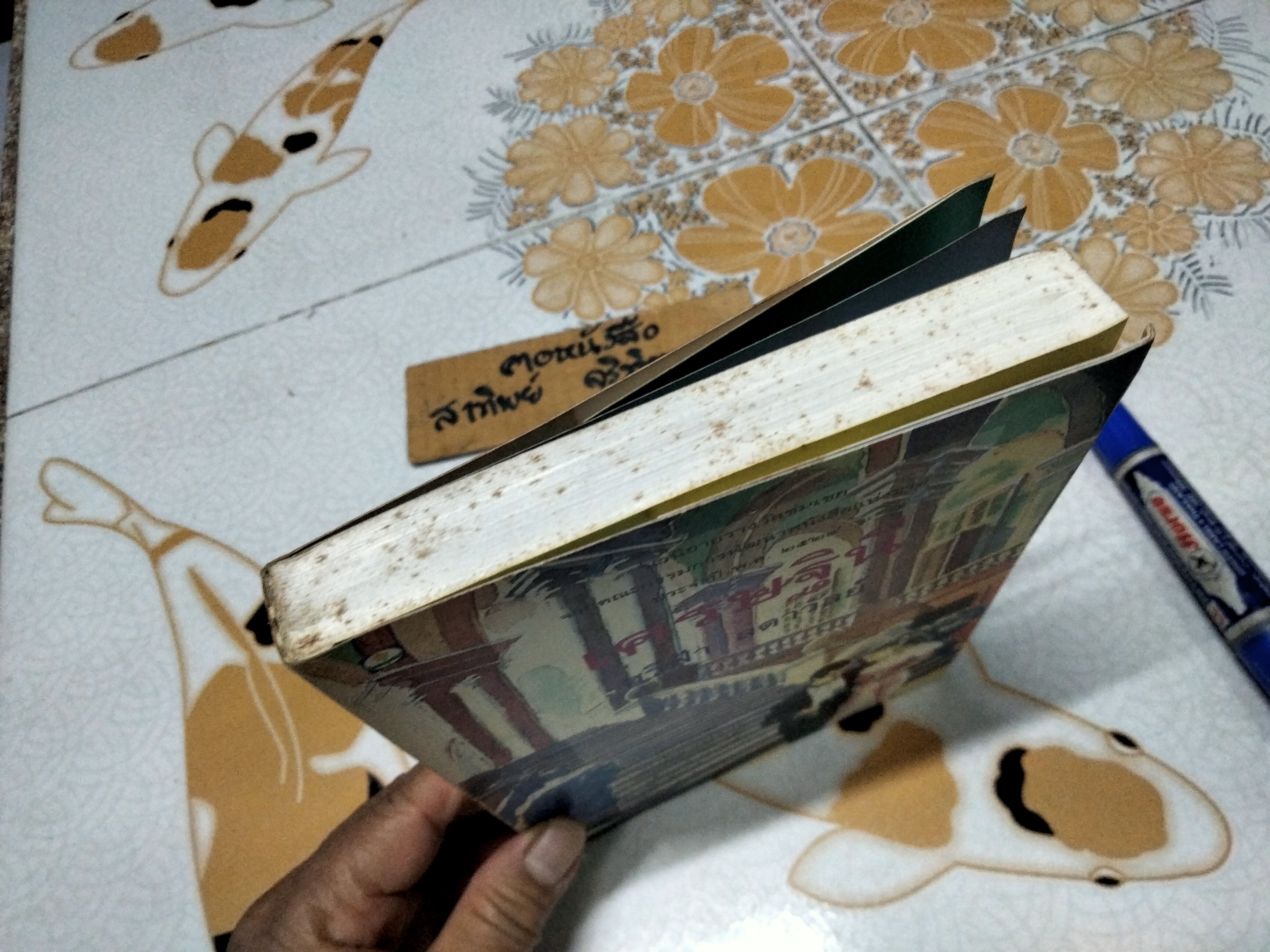 เศรษฐินี (เล่มเดียวจบ) ศรีฟ้า ลดาวัลย์