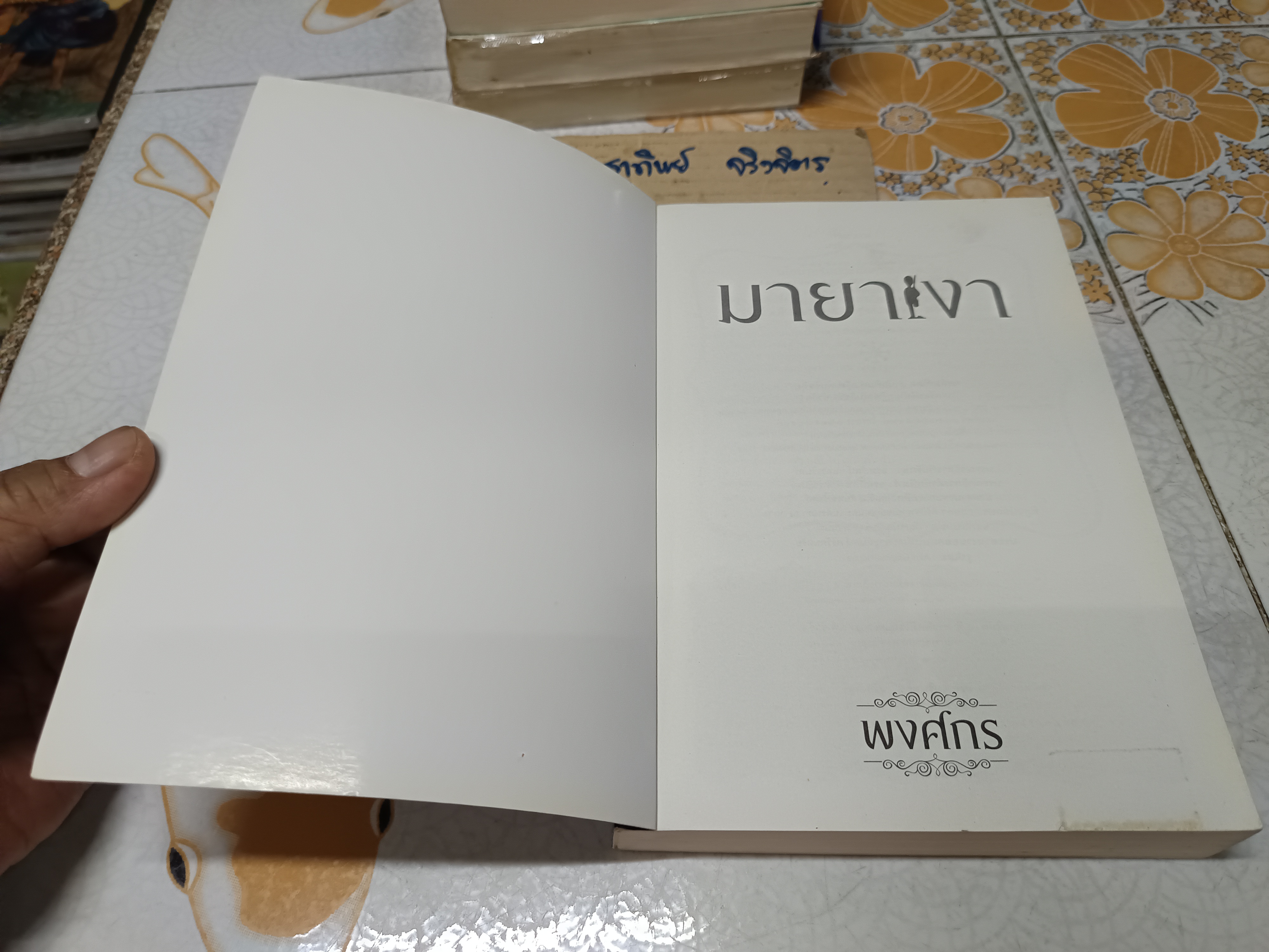 มายาเงา (เล่มเดียวจบ) พงศกร