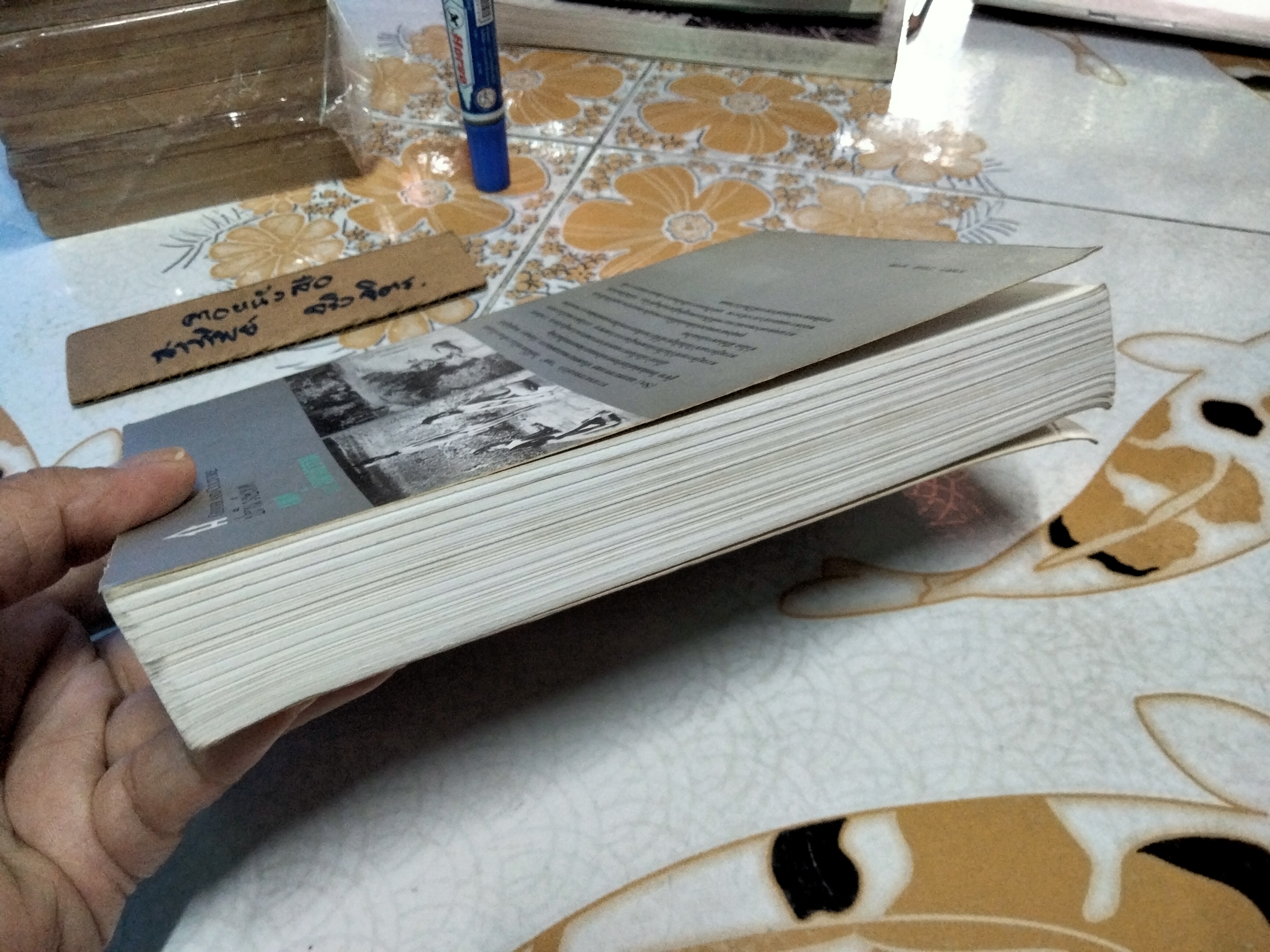 เพศและวัฒนธรรม GENDER AND CULTURE โดย ปรานี วงษ์เทศ พิมพ์ครั้งที่ 2/2544 โดย ศิลปวัฒนธรรม ** มีรอยปากกาเน้นข้อความหลายหน้า **สินค้าหมด**