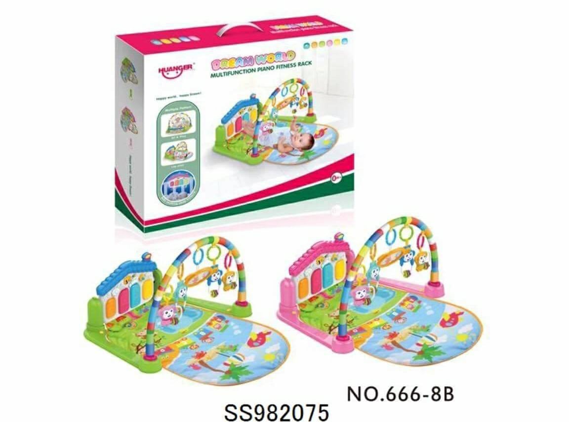 เพลยิมทรงบ้าน