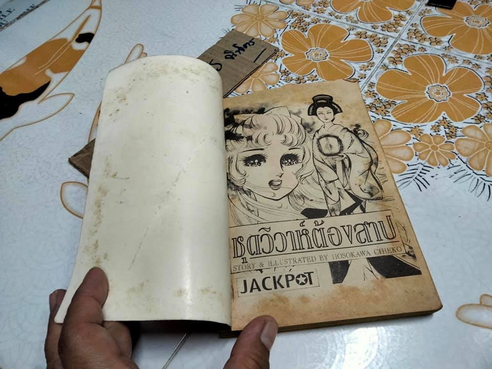 ชุดวิวาห์ต้องสาป ( เล่มเดียวจบ ) รวมผลงานเรื่องสั้นของ HOSOKAWA CHIEKO ผู้เขียน คำสาปฟาโรห์, รอยยิ้มสีดำ ฯลฯ **สินค้าหมด**