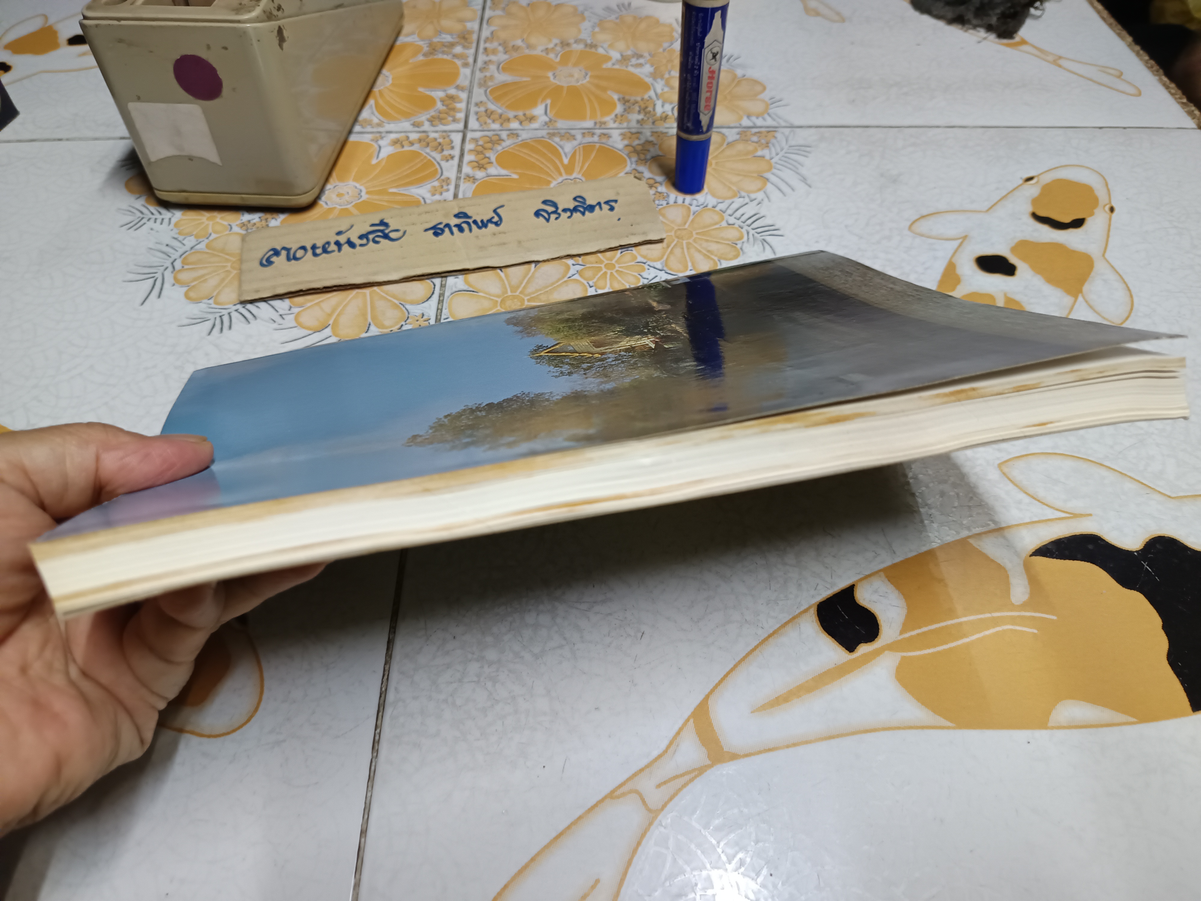 อัตตโนประวัติ พระนิโรธรังสีคัมภีรปัญญาจารย์ (เทสก์ เทสรังสี), ประวัติวัดอรัญญวาสี และ ประวัติวัดหินหมากเป้ง **สินค้าหมด**