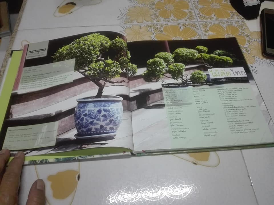 ไม้ดัดไทย (ปกแข็ง) โดย บัญชา เขมธร - ภูวดล น้ำดอกไม้ (มือหนึ่ง ในซีล) **สินค้าหมด**