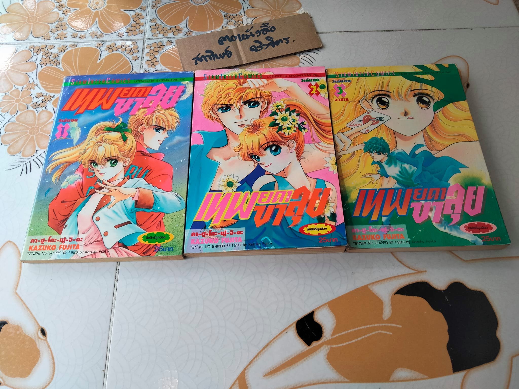 หนังสือการ์ตูน เทพยดาขาลุย (3 เล่มจบ) Kazuko Fujita